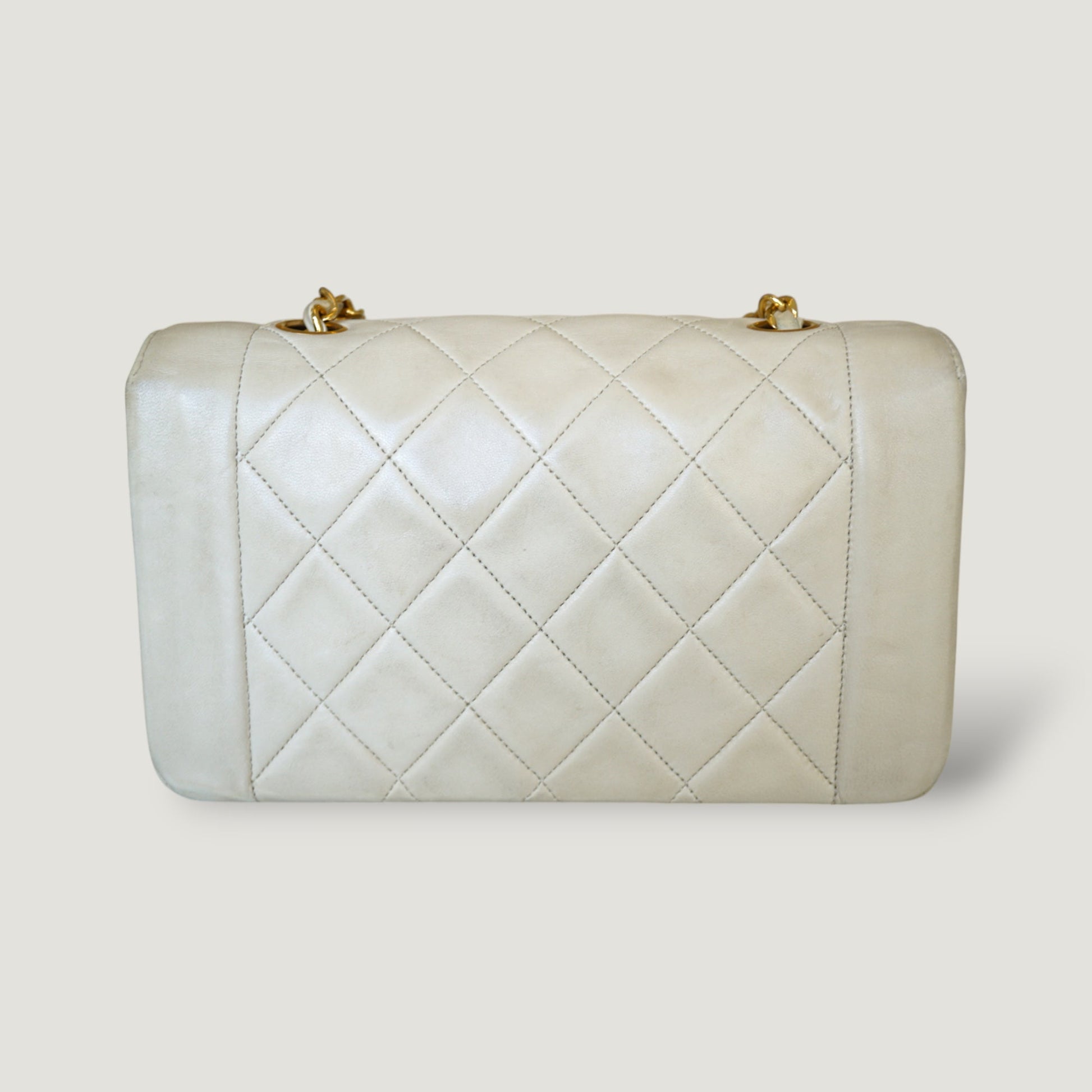 Chanel Diana Handbag Bag - Ewore Bags