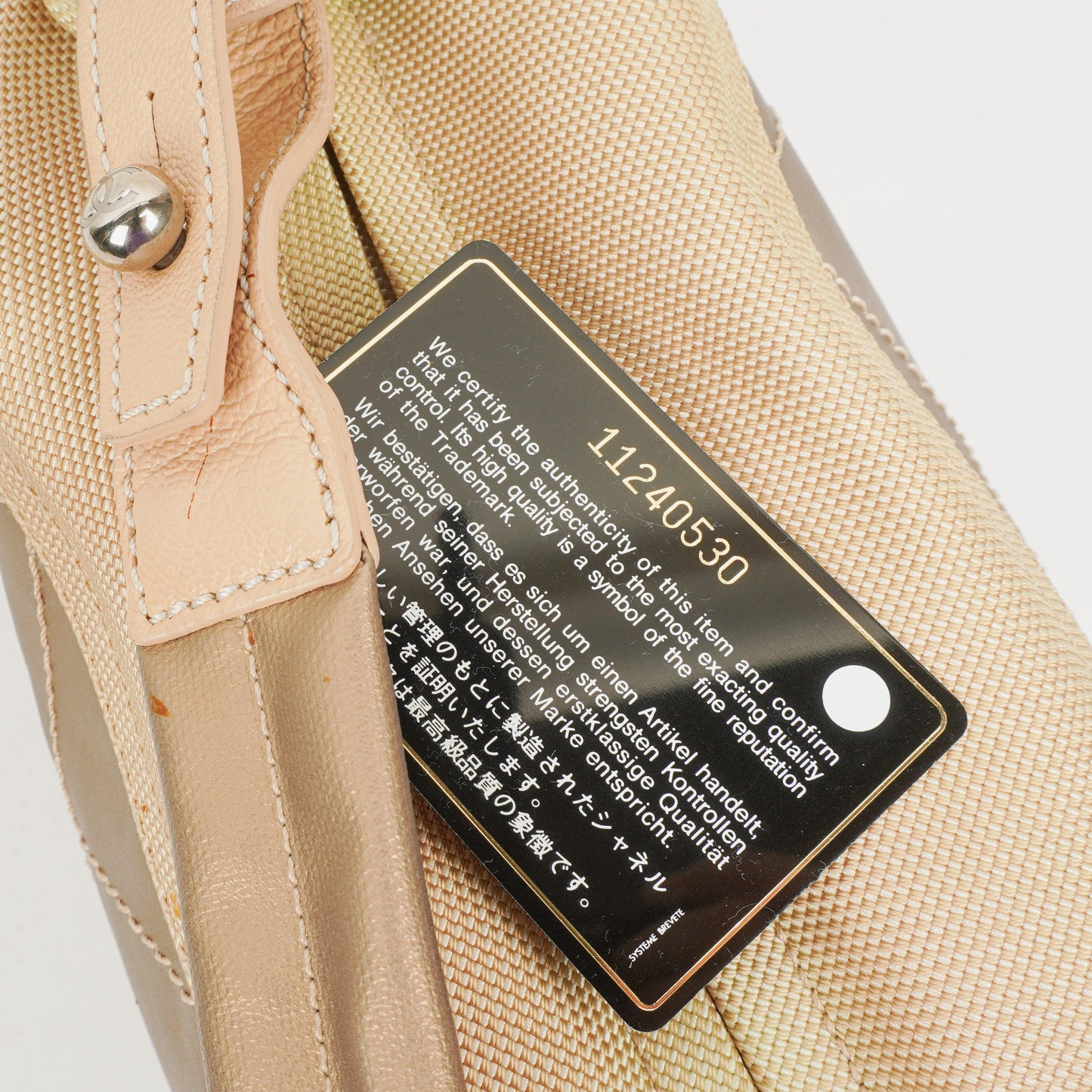 Chanel Paris-Biarritz Hobo Bag