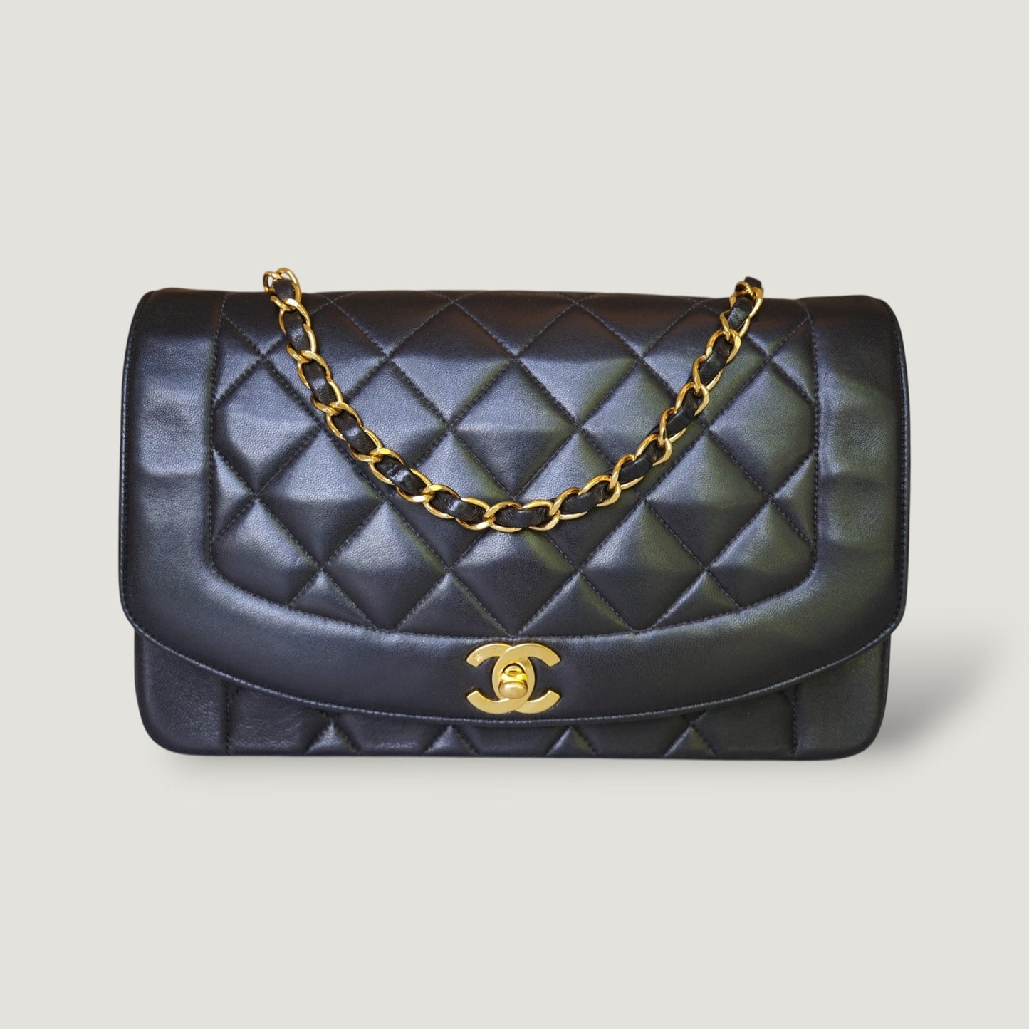 Chanel Diana Handbag Bag - Ewore Bags