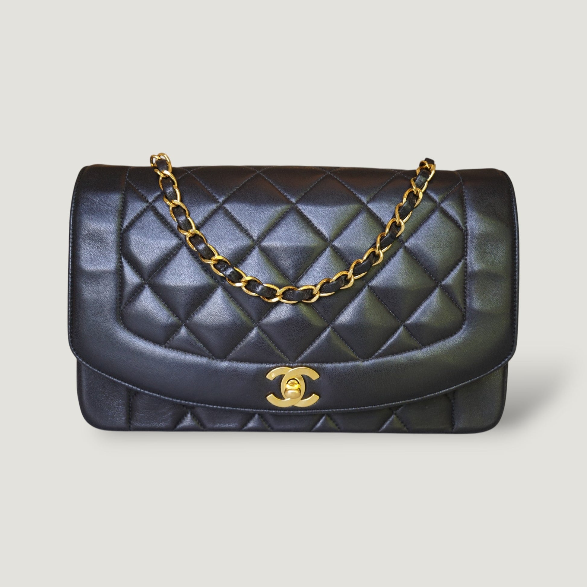 Chanel Diana Handbag Bag - Ewore Bags