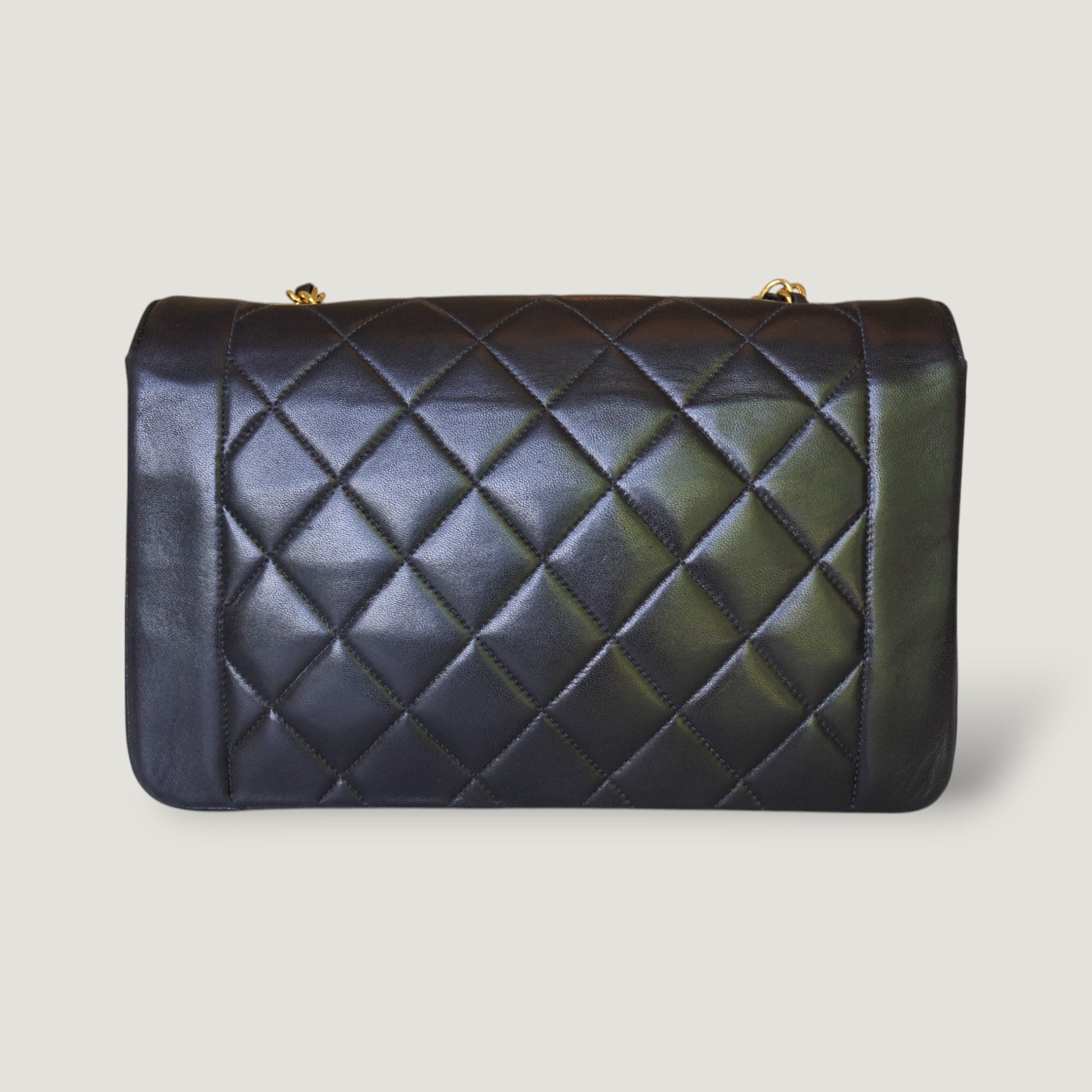 Chanel Diana Handbag Bag - Ewore Bags