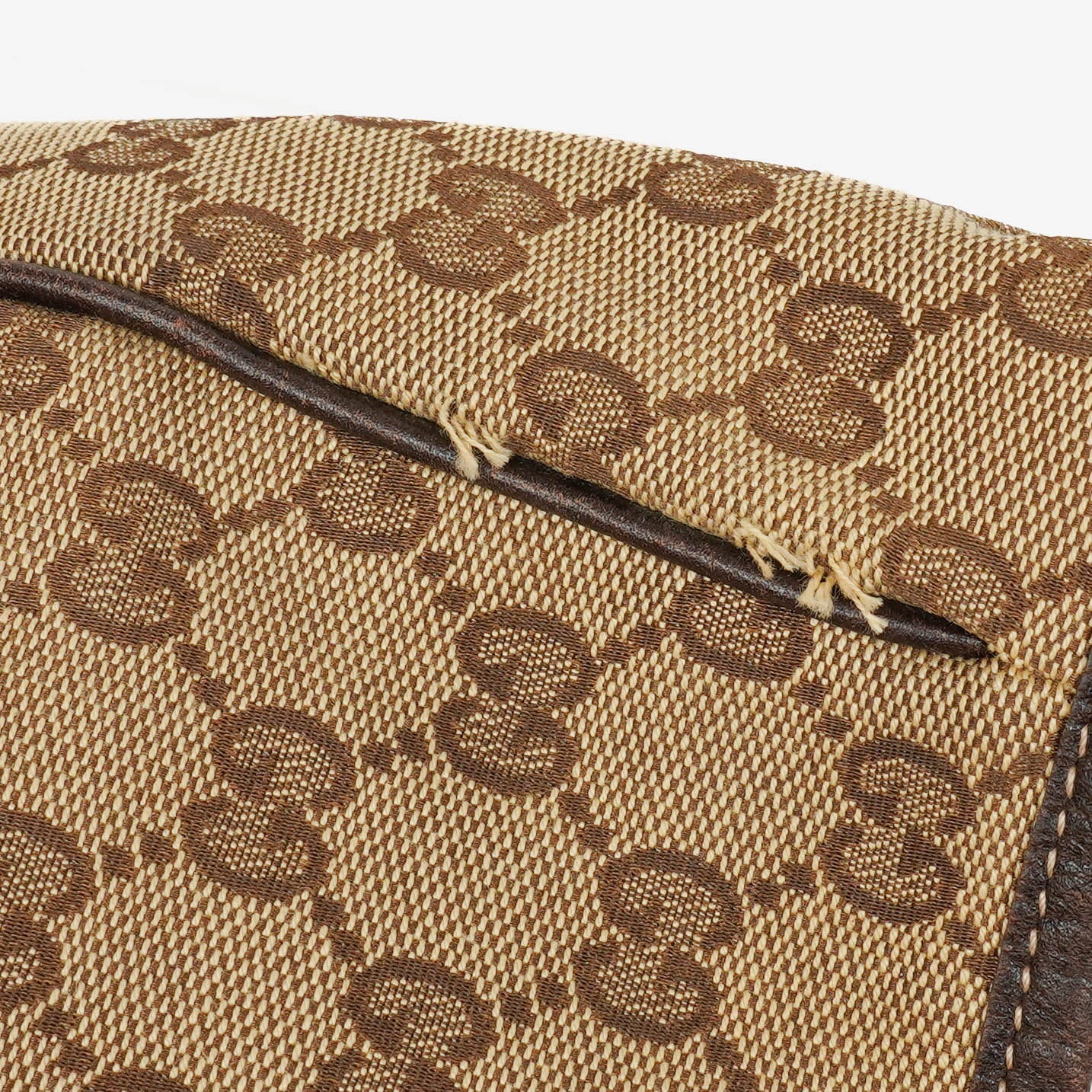 Gucci Monogram Princy Hobo Bag