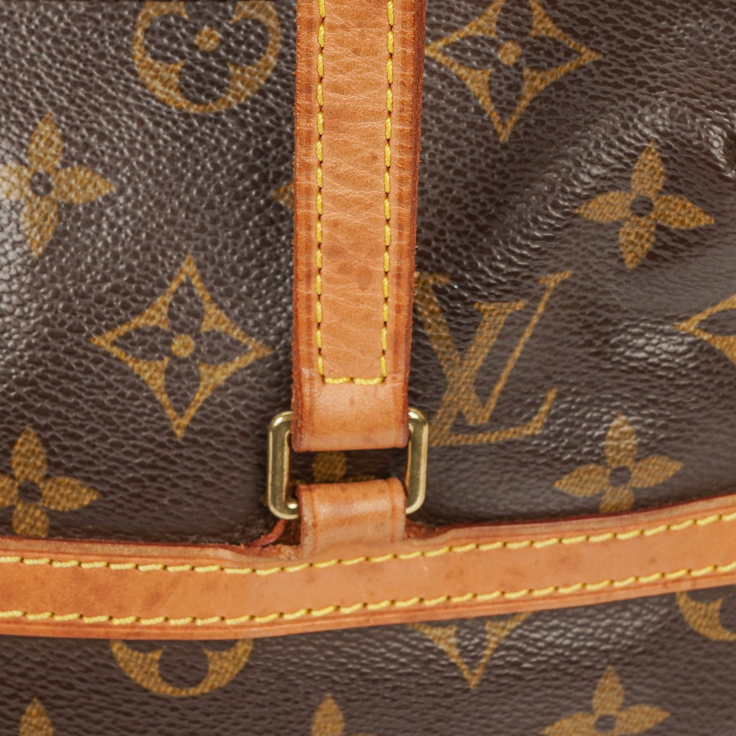 Louis Vuitton Monogram Canvas Coussin GM
