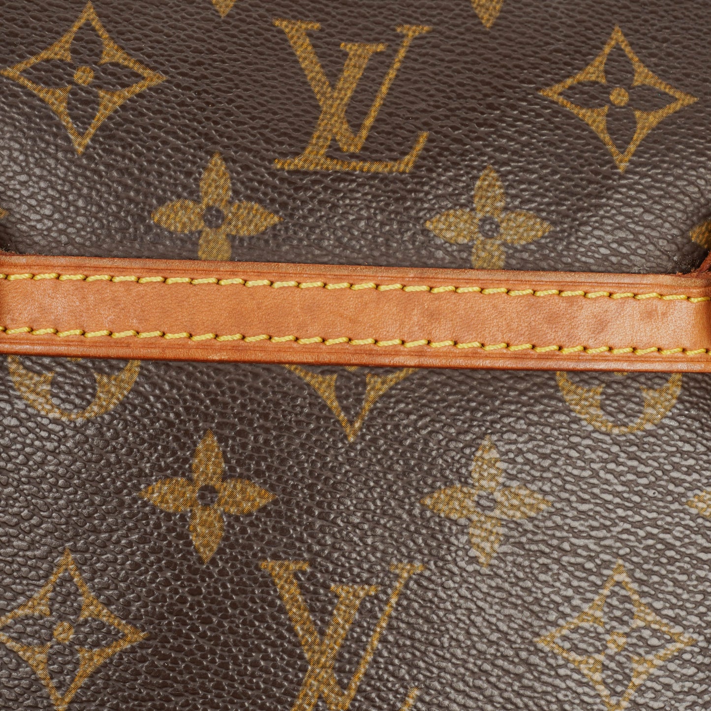 Louis Vuitton Monogram Canvas Coussin GM