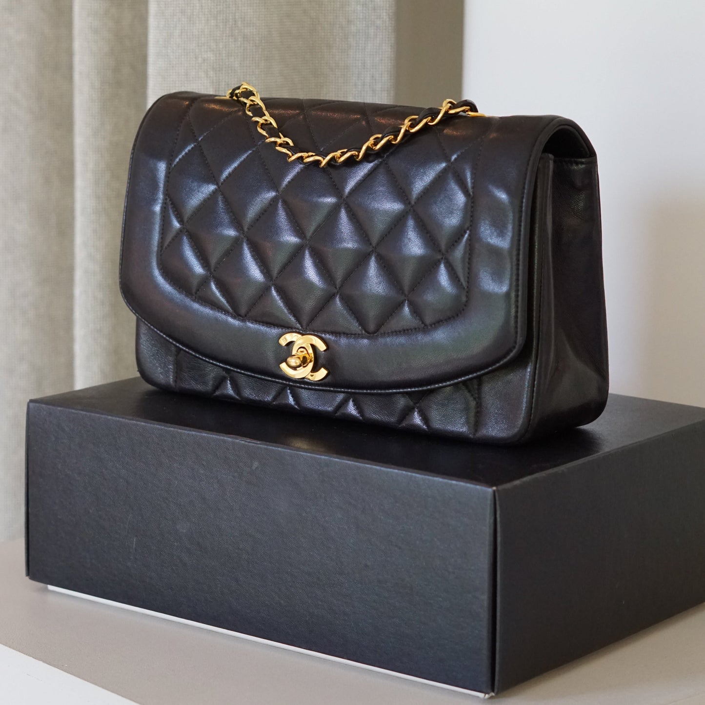 Chanel Diana Handbag Bag - Ewore Bags