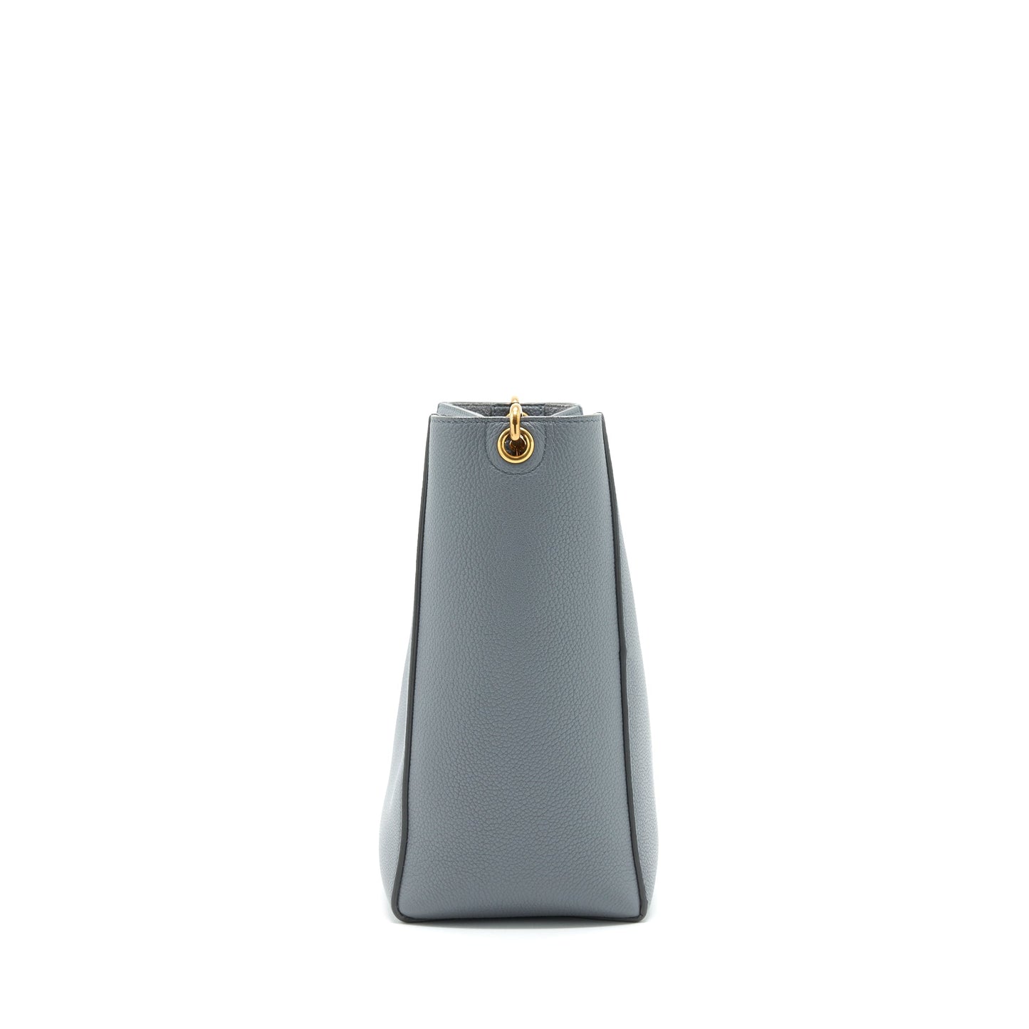 Celine Small sangle Bucket Purse Grey