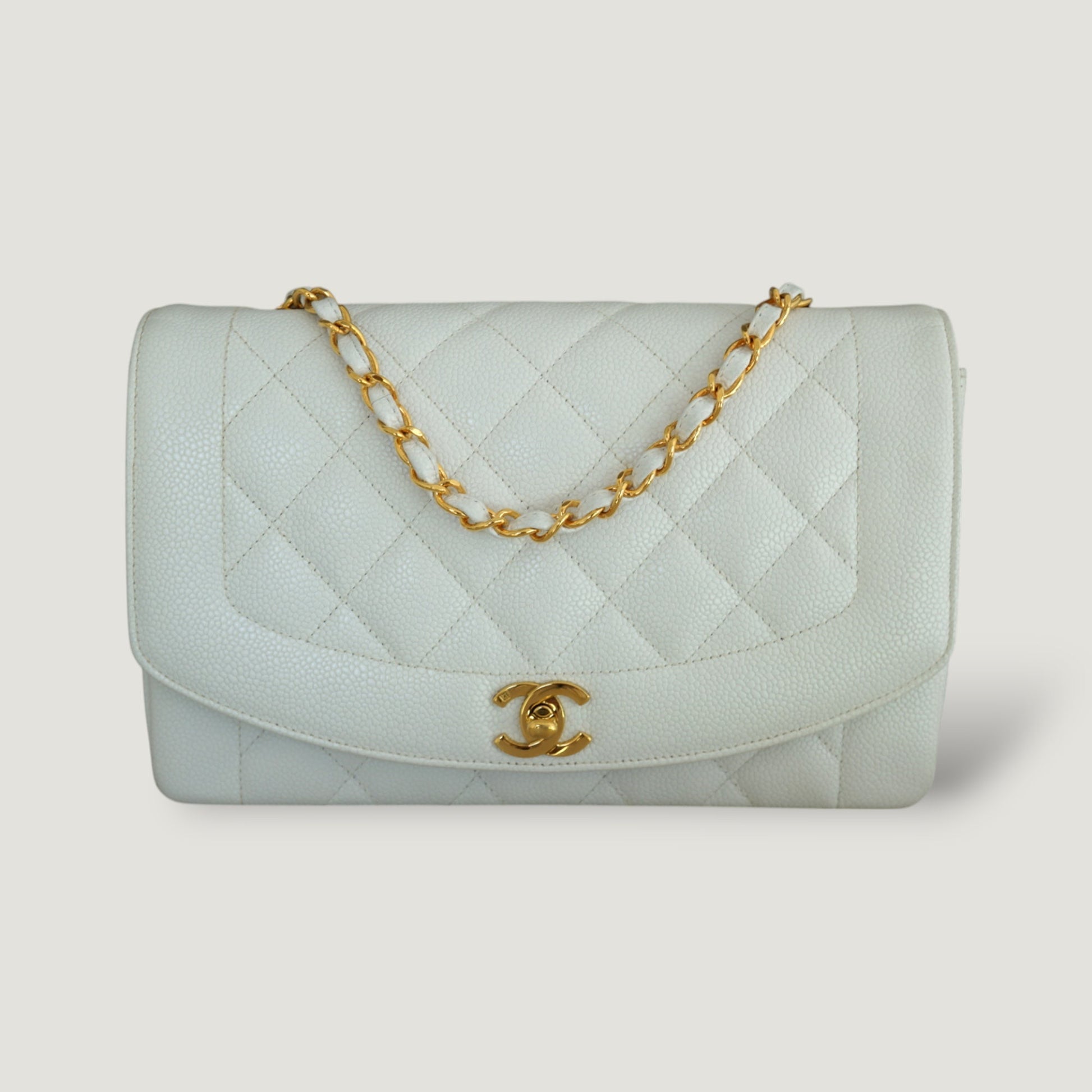 Chanel Diana Handbag Bag - Ewore Bags