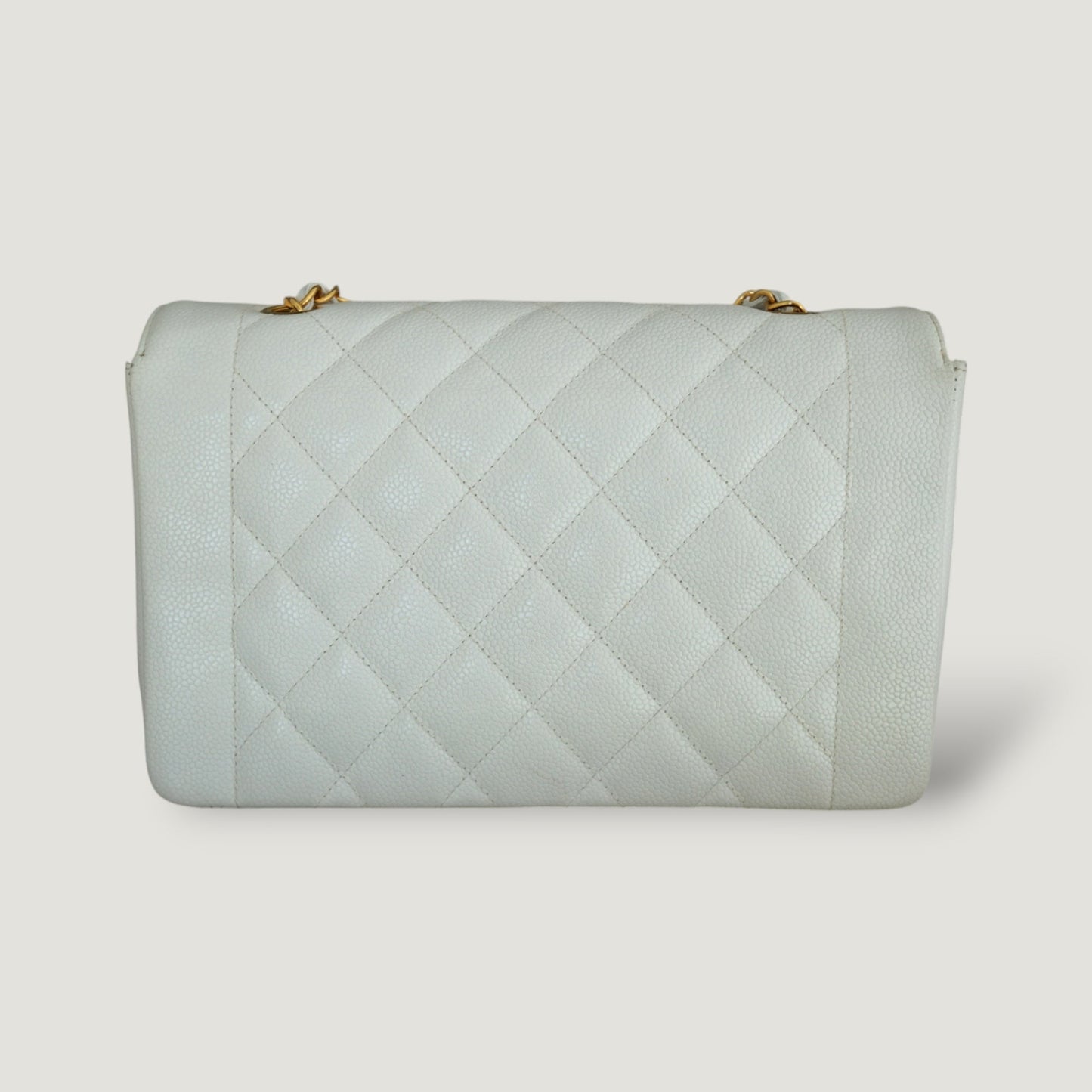 Chanel Diana Handbag Bag - Ewore Bags