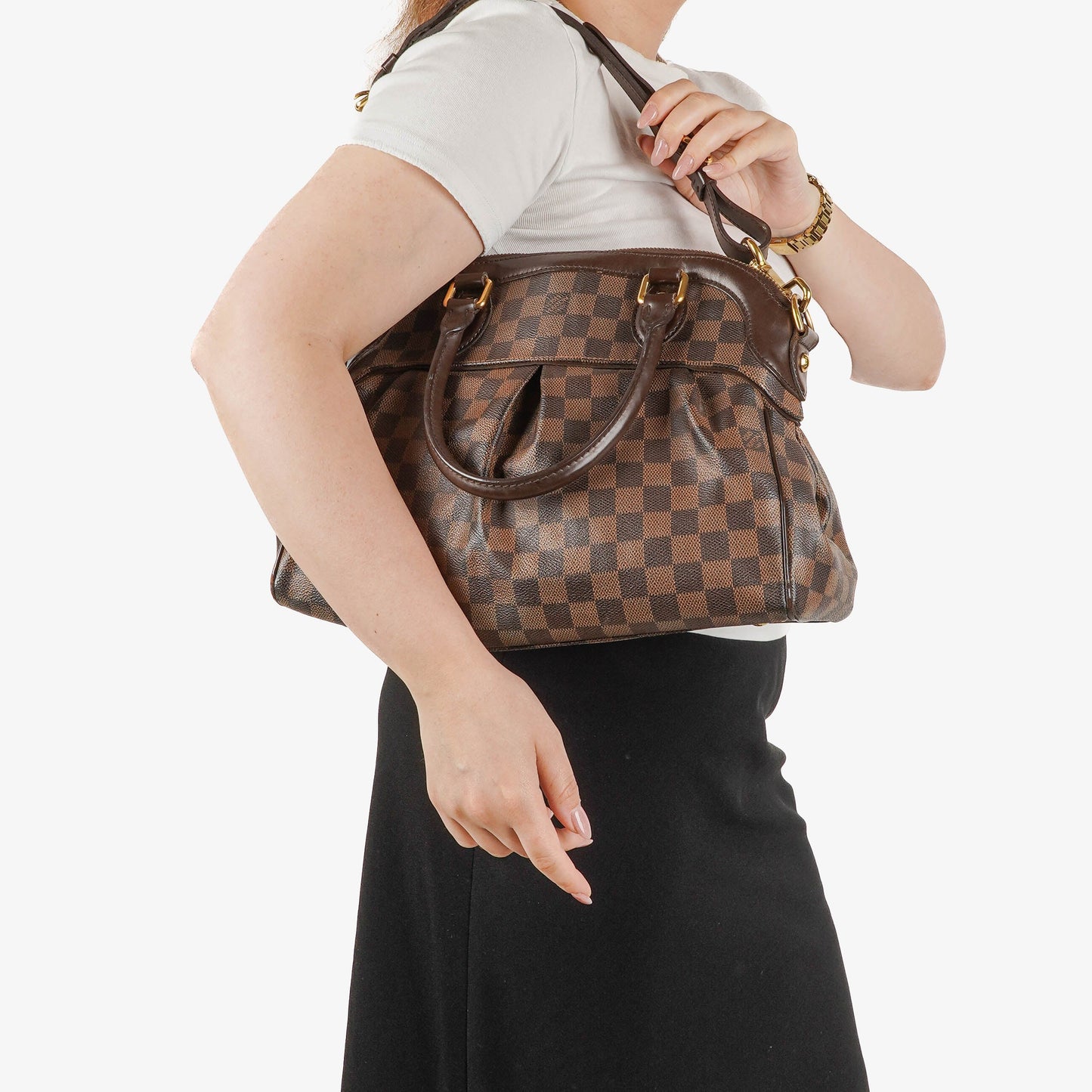 Louis Vuitton Trevi PM Damier Canvas Bag