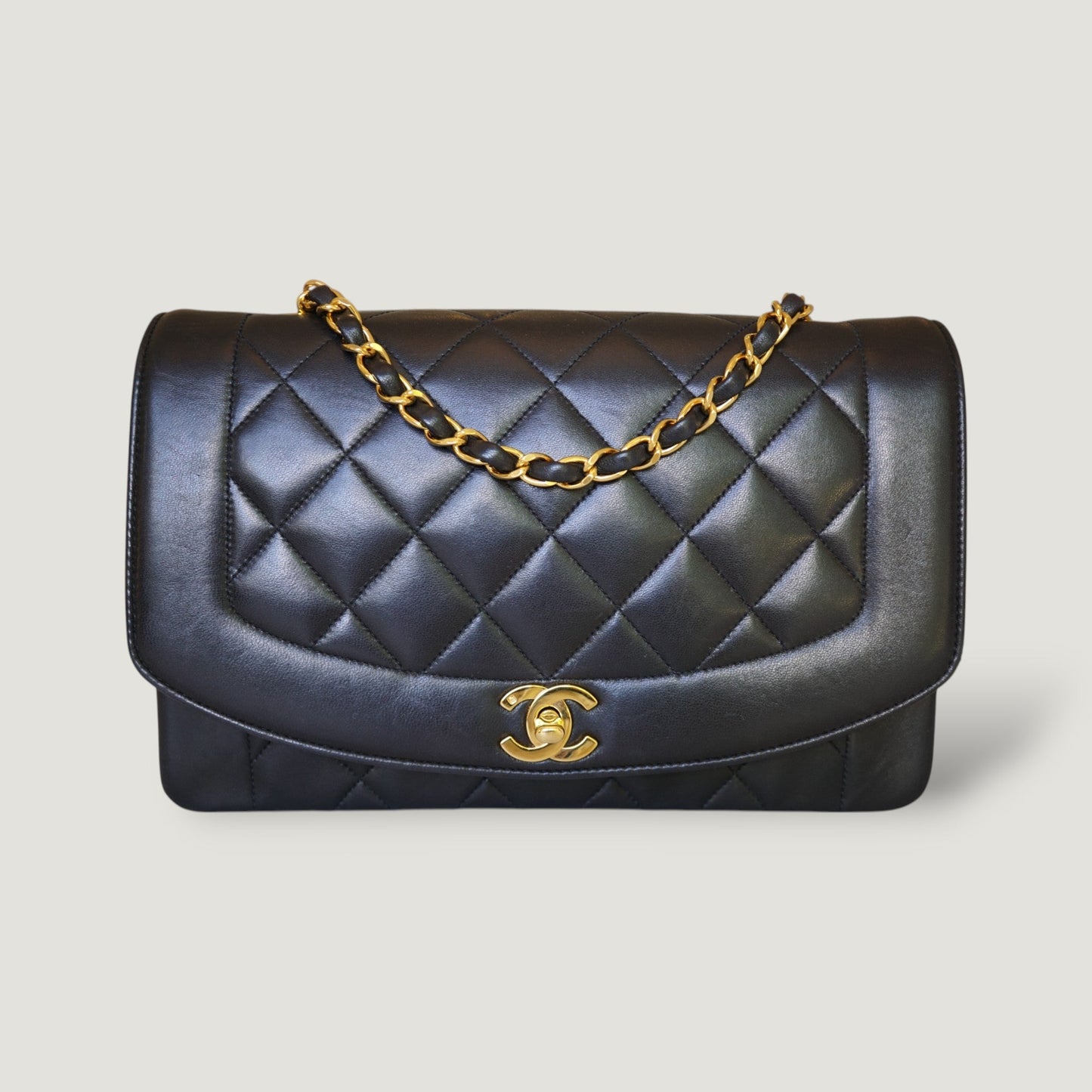 Chanel Diana Handbag Bag - Ewore Bags