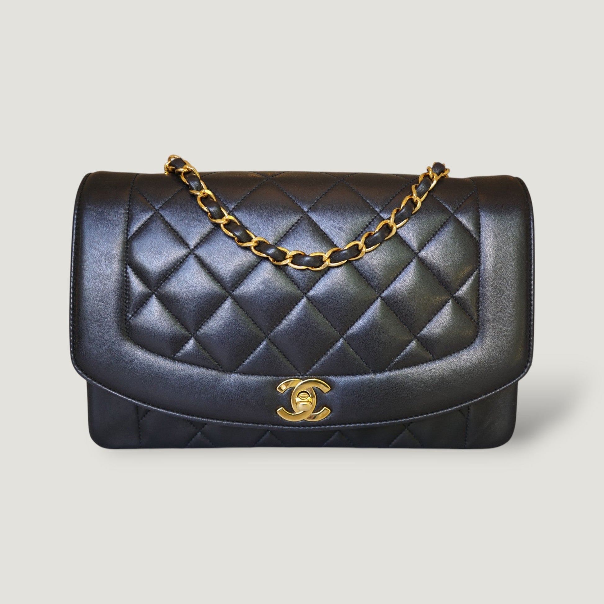 Chanel Diana Handbag Bag - Ewore Bags