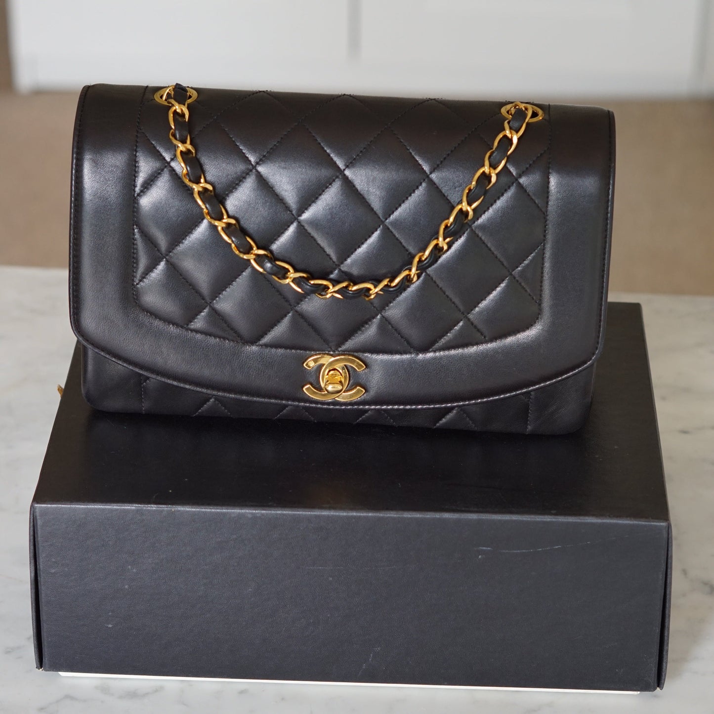 Chanel Diana Handbag Bag - Ewore Bags
