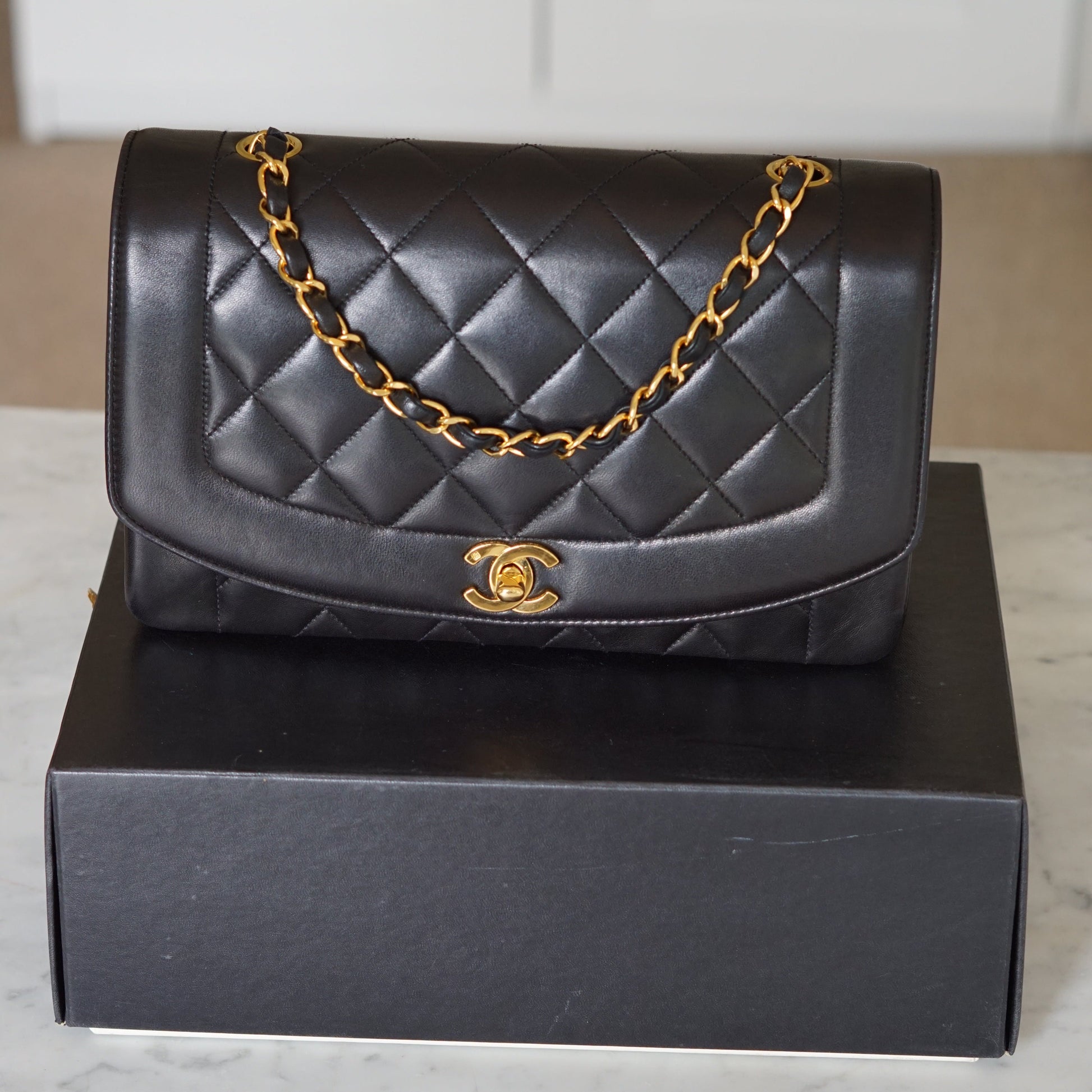 Chanel Diana Handbag Bag - Ewore Bags