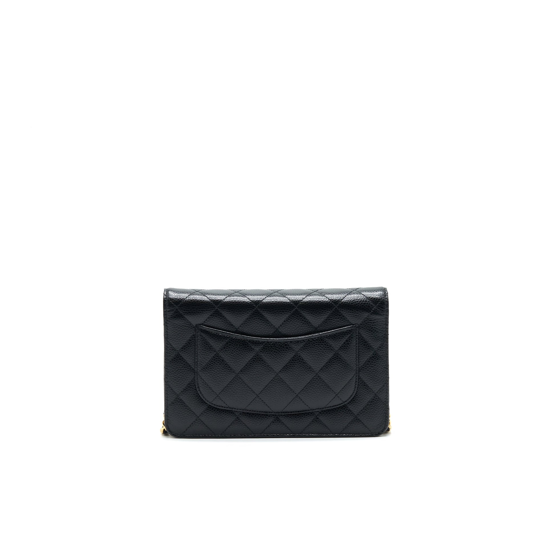 Chanel Wallet On Chain Crossbody Bag - EworeBags