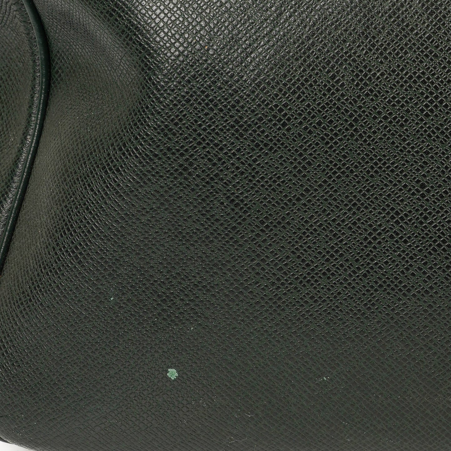 Louis Vuitton Kendall Epicea Green Taiga Leather Bag