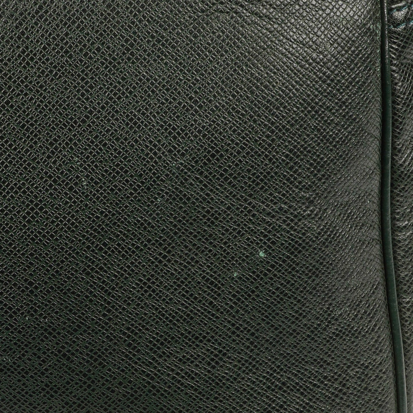 Louis Vuitton Kendall Epicea Green Taiga Leather Bag