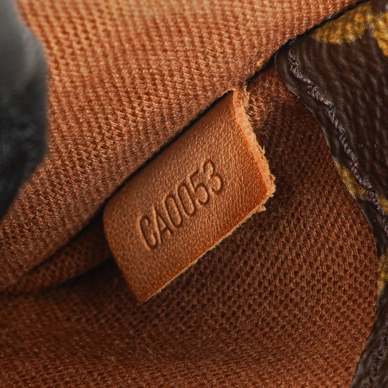 Louis Vuitton Monogram Canvas Pochette Gange Belt Bag