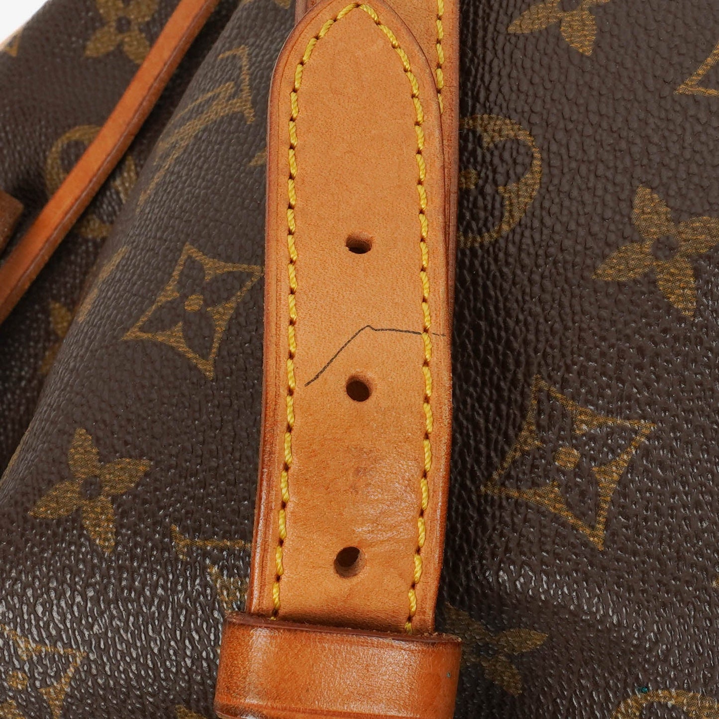 Louis Vuitton Noe GM Monogram Canvas Shoulder Bag
