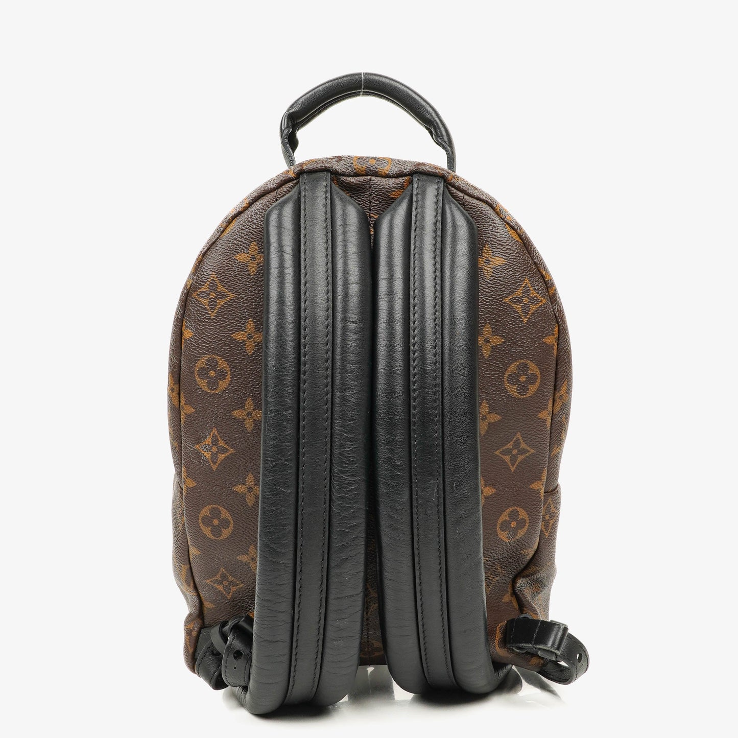 Louis Vuitton Reverse Monogram Canvas Palm Springs PM Backpack