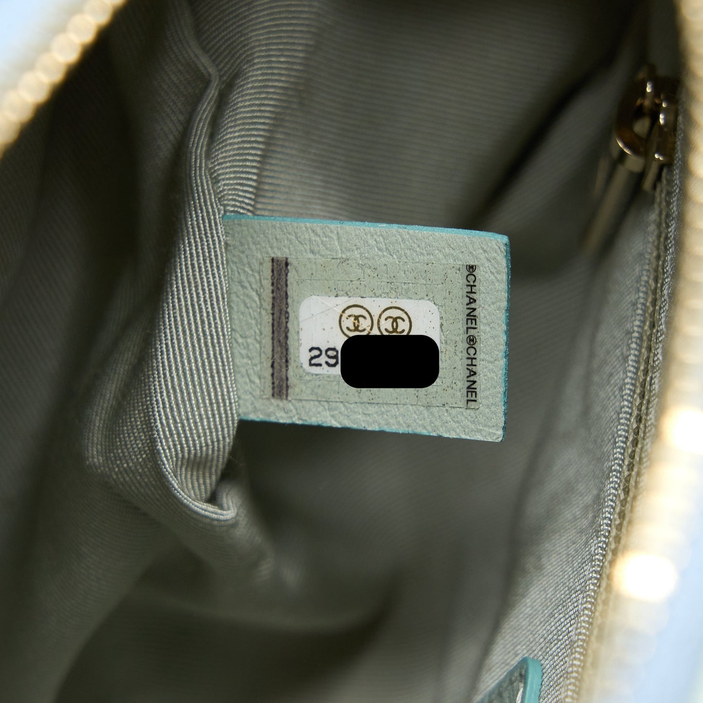 Chanel Small Camera Case Tricolour Goatskin Green Blue Pink L