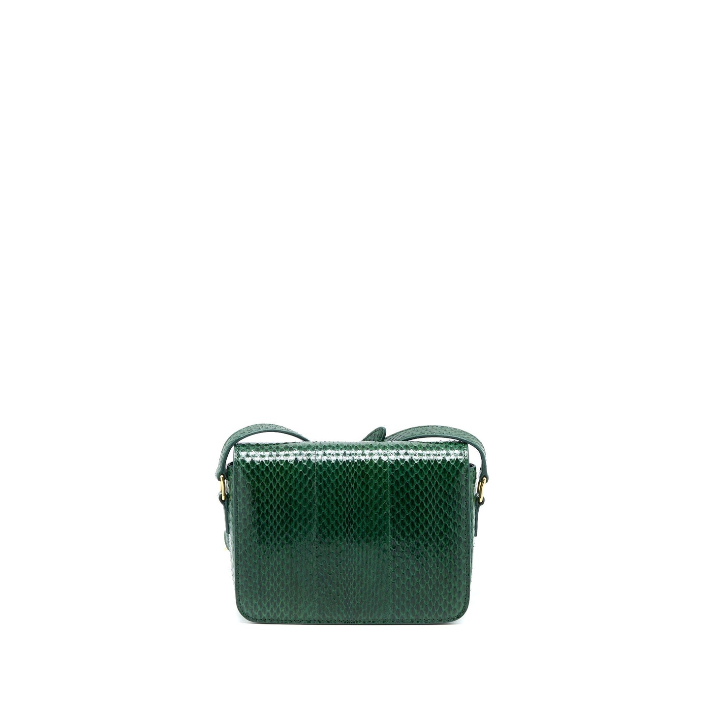 Celine Triomphe Purse Water Snake Leather Green