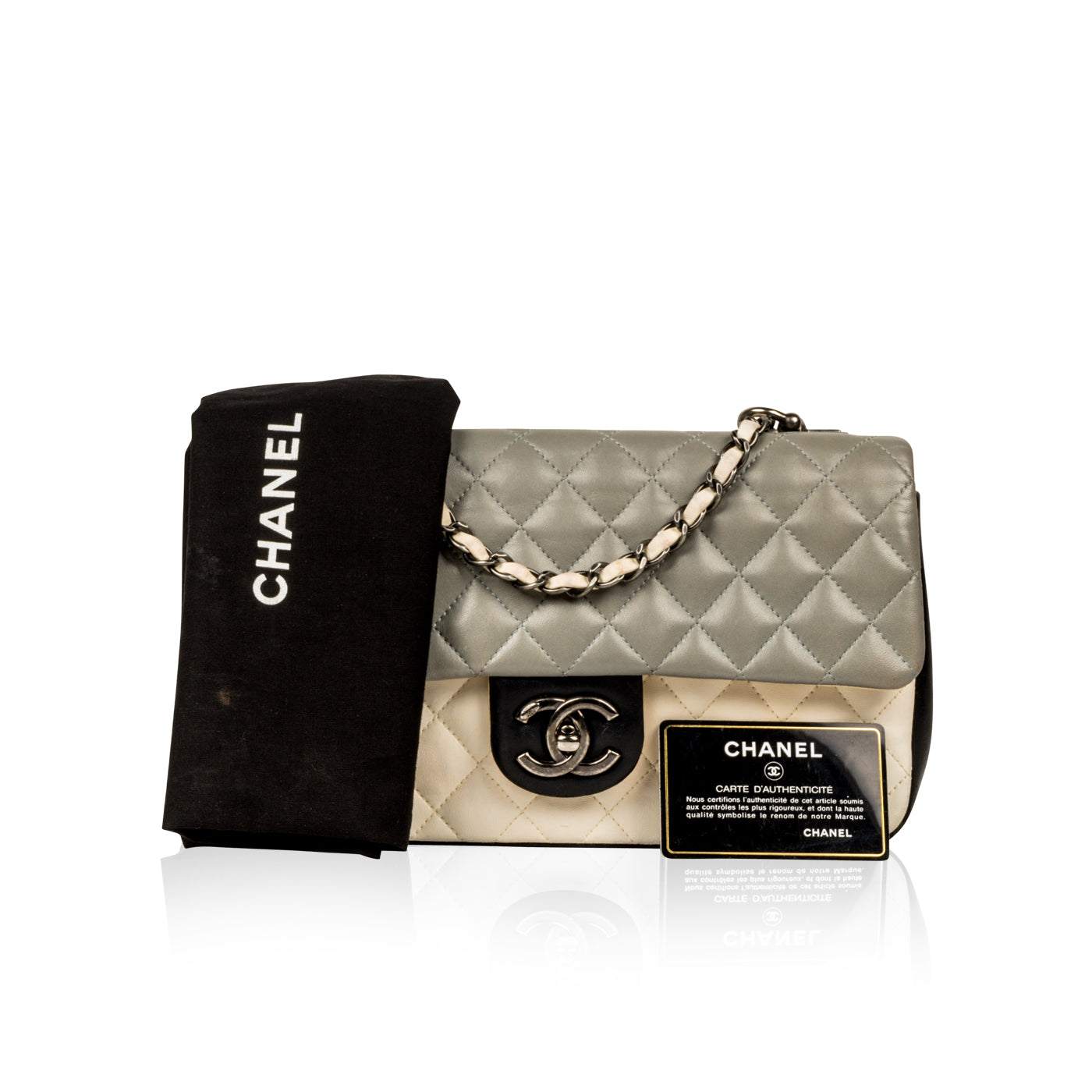 Chanel Monochrome Seasonal Flap Bag