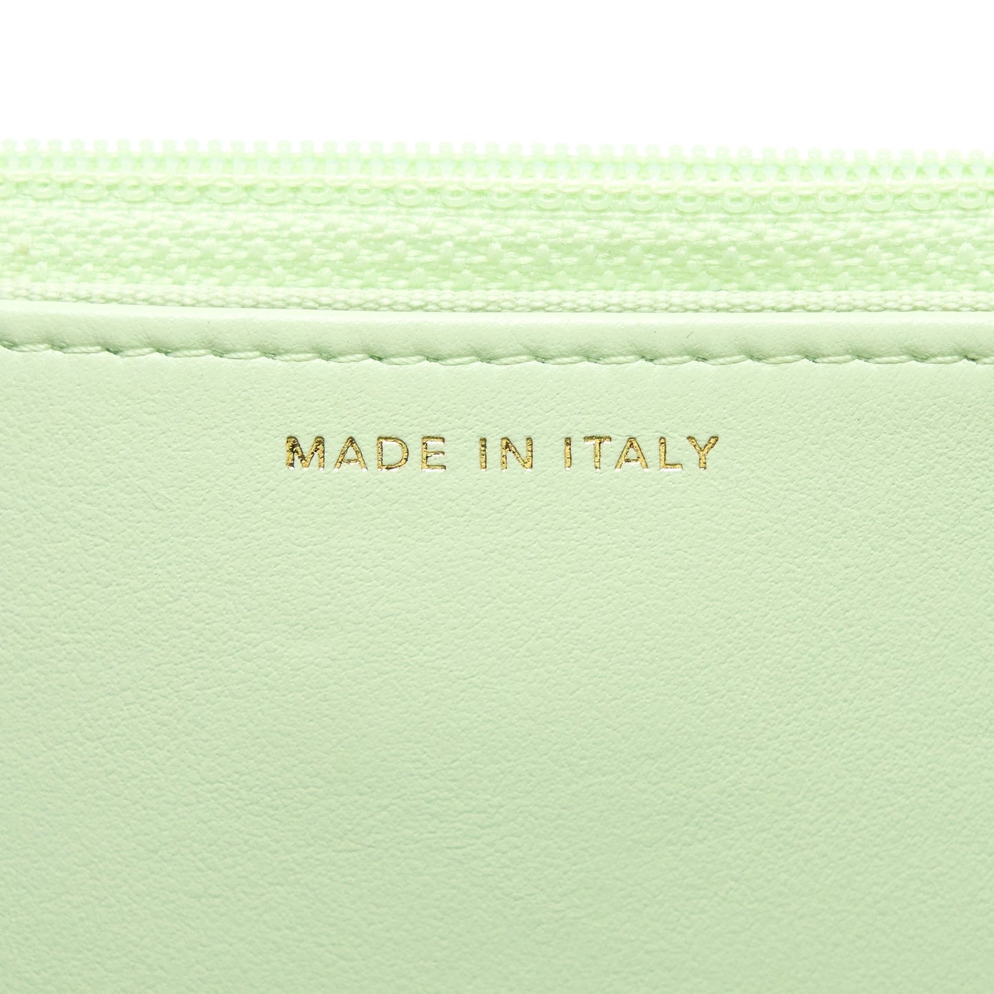 Chanel 19 Wallet on Chain Lambskin Light Green Multicolour Hardware (Microchip)