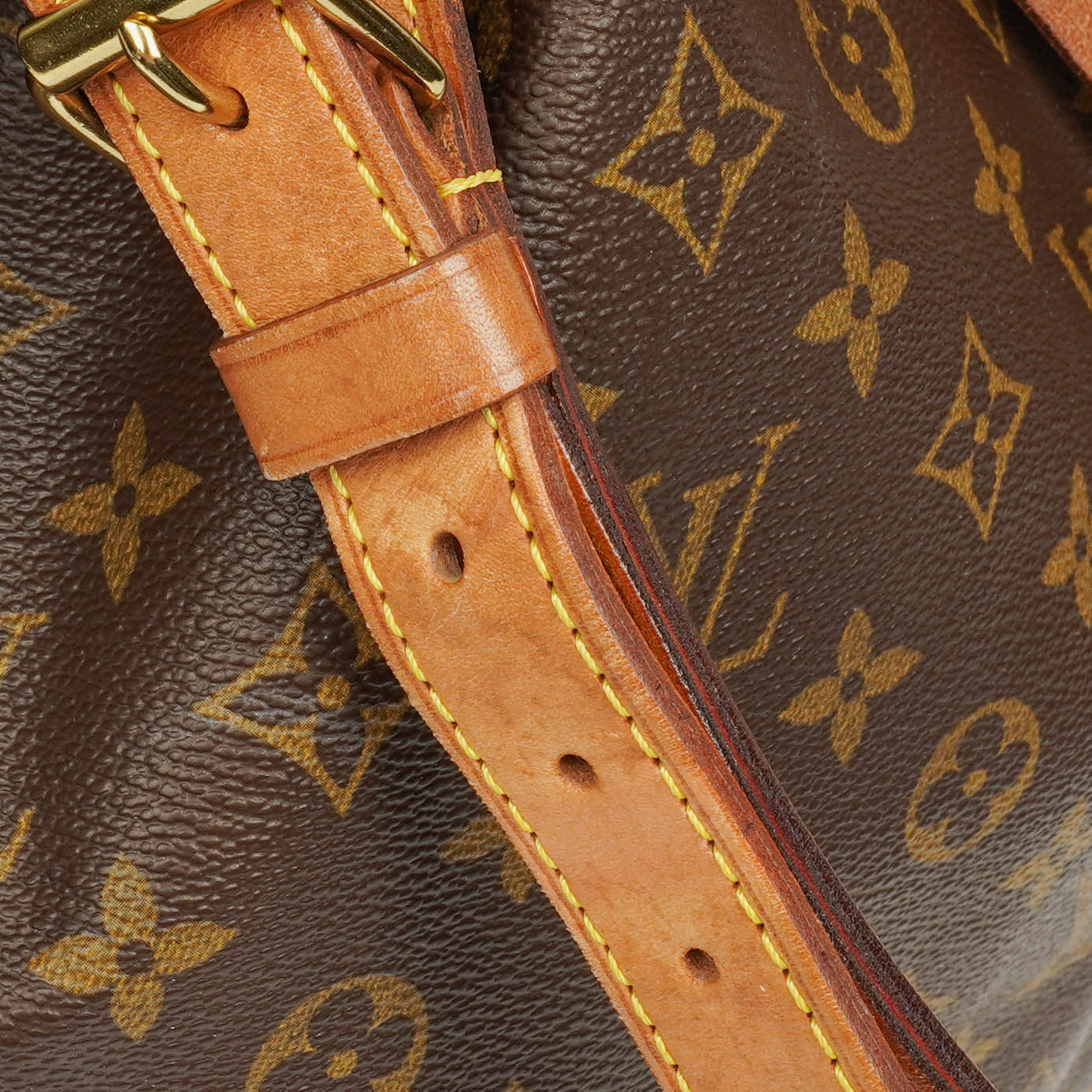 Louis Vuitton Noe GM Monogram Canvas Shoulder Bag