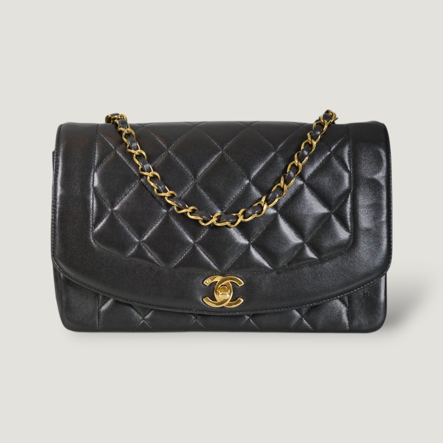Chanel Diana Handbag Bag - Ewore Bags