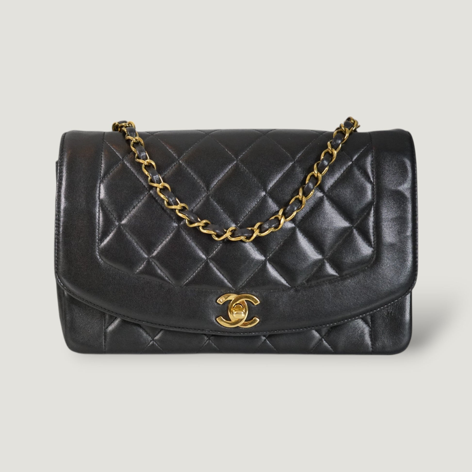 Chanel Diana Handbag Bag - Ewore Bags