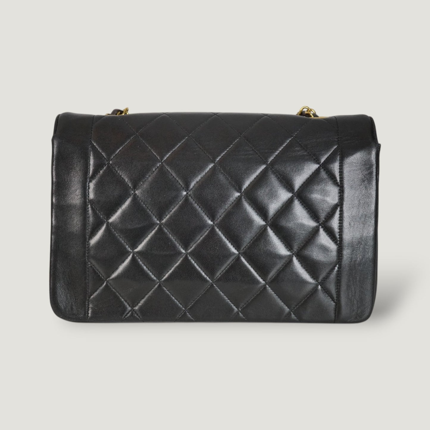 Chanel Diana Handbag Bag - Ewore Bags