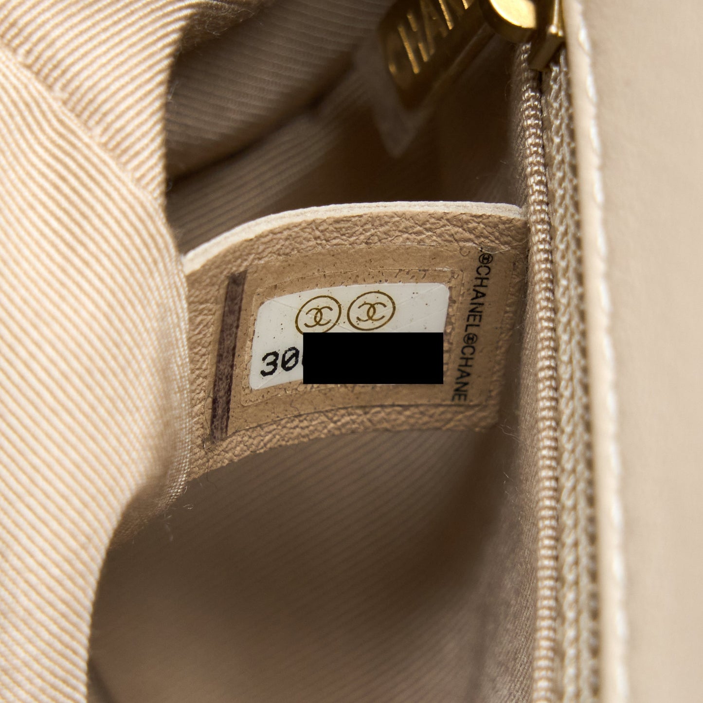 Chanel Seasonal Flap Bag Beige L