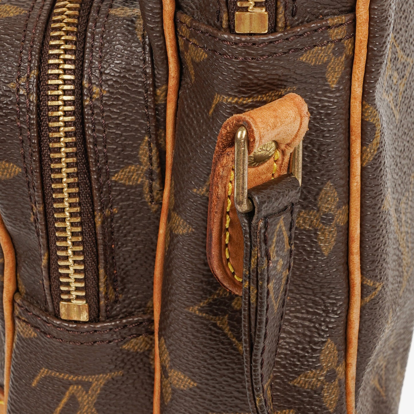 Louis Vuitton Monogram Canvas Amazon Crossbody Bag