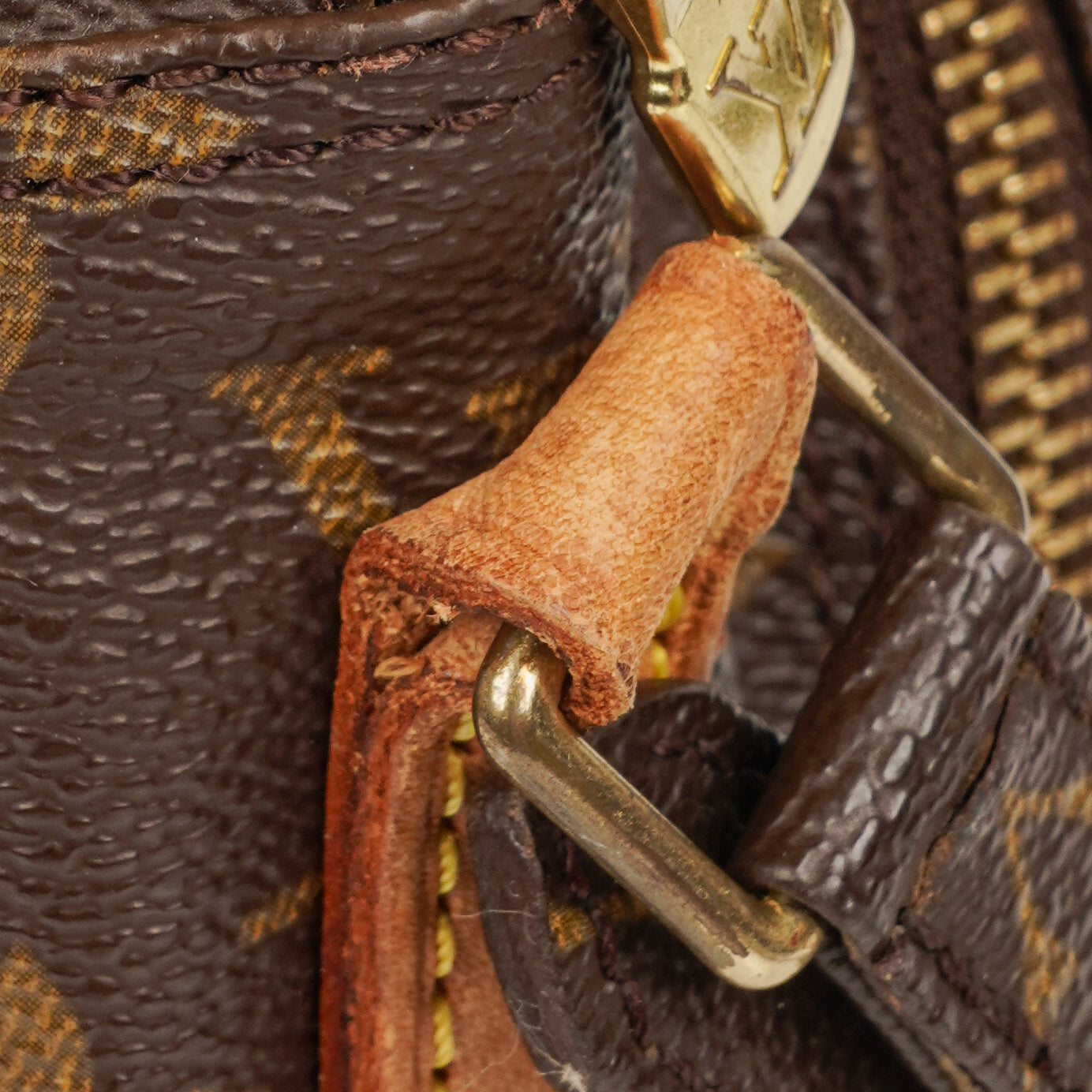 Louis Vuitton Monogram Canvas Amazon Crossbody Bag