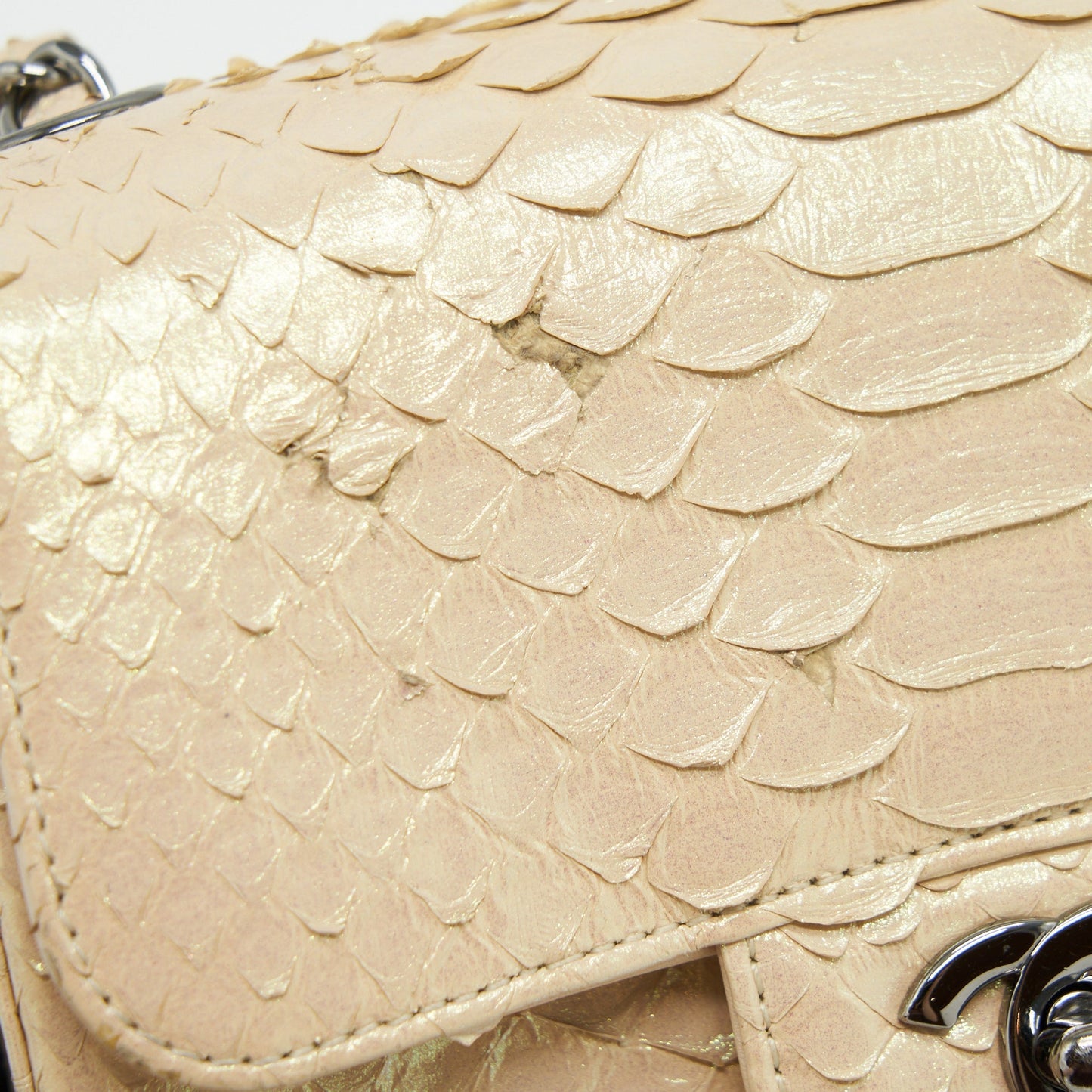 Chanel Mini Square Flap Bag Python Iridescent Light Beige