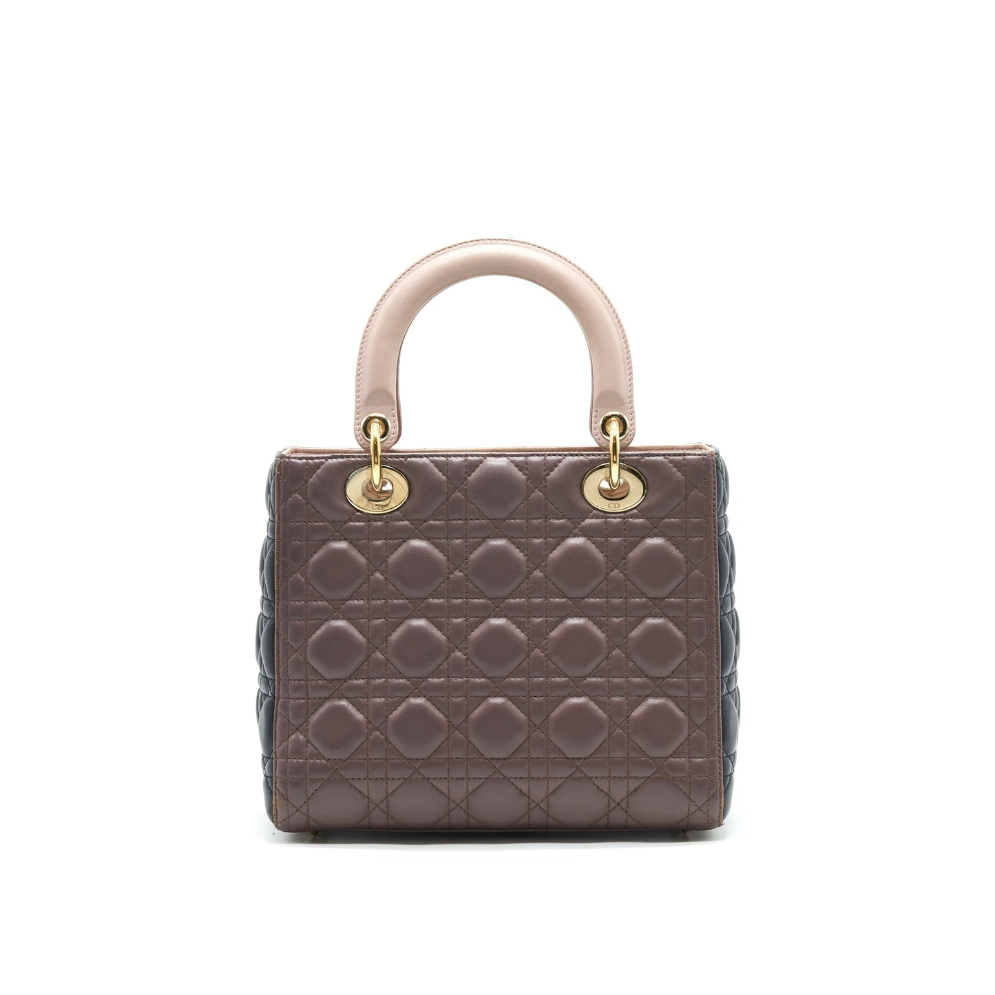 Dior Medium Lady Dior Purse Multi Color