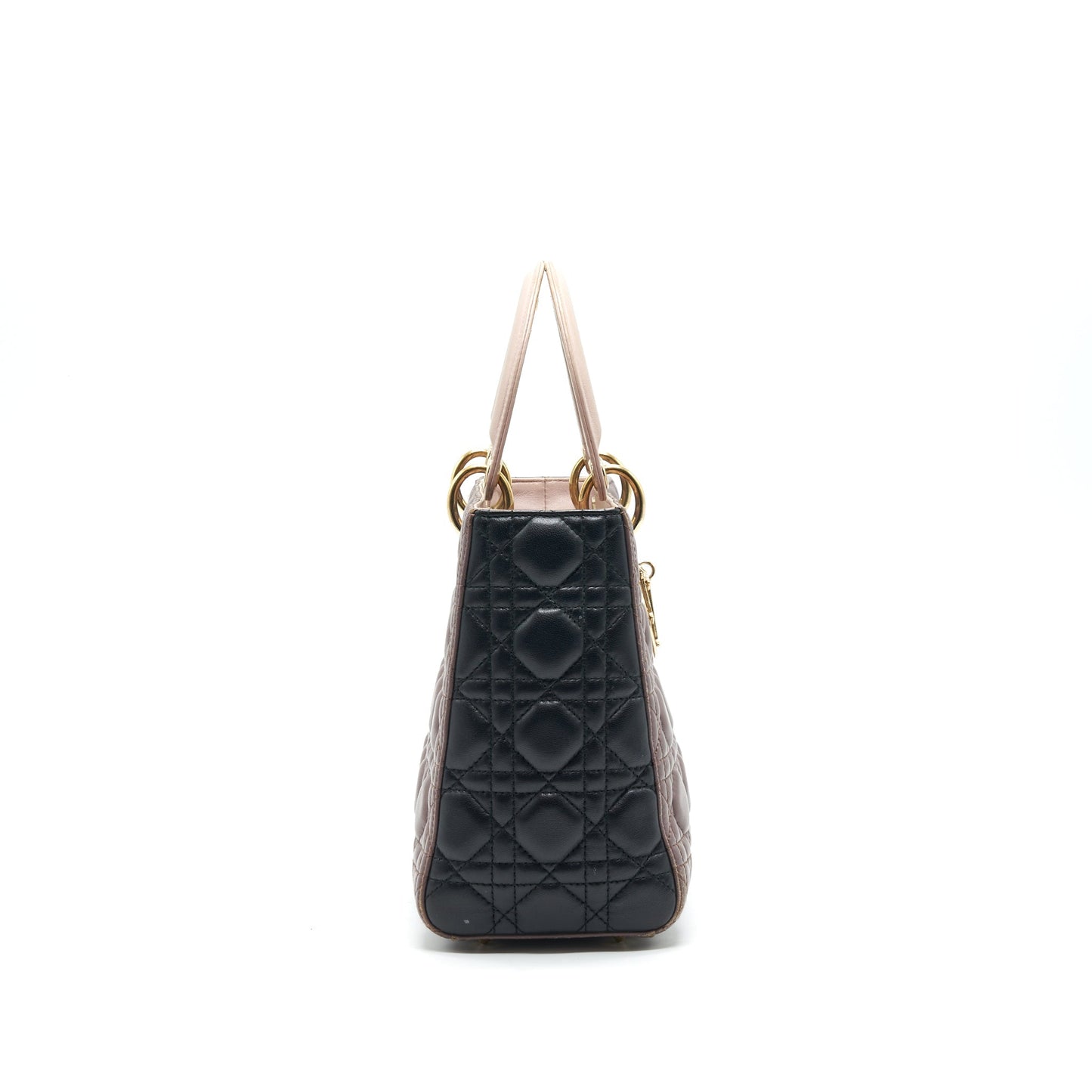 Dior Medium Lady Dior Purse Multi Color