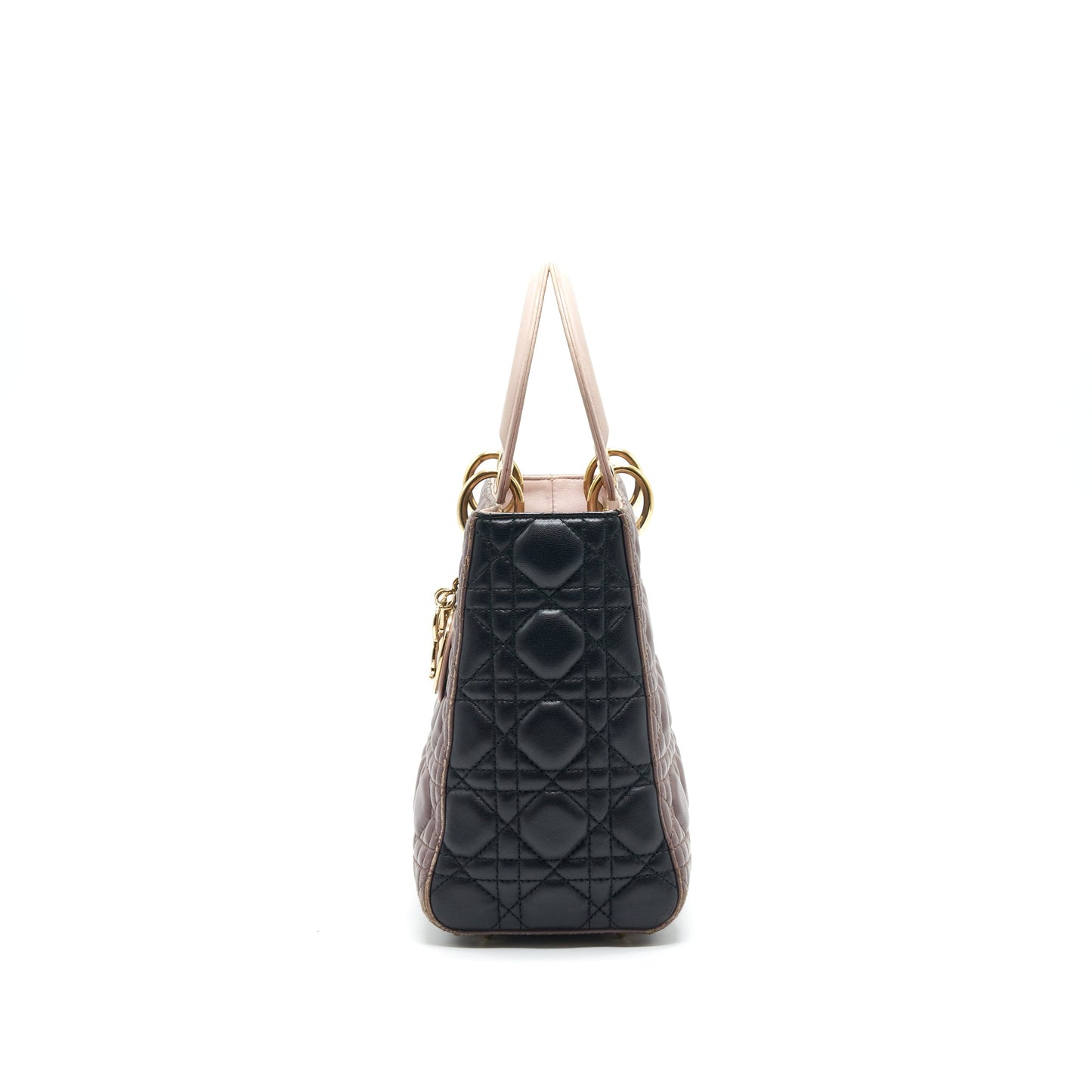 Dior Medium Lady Dior Purse Multi Color