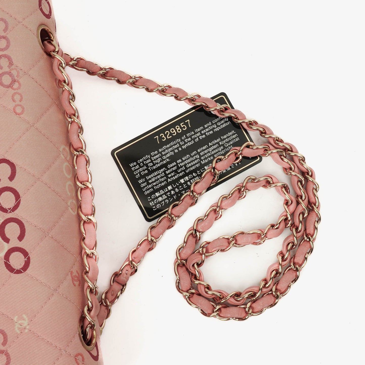 Chanel COCO Print Medium Classic Double Flap Flap Bag 24K Gold-Plated Hardware
