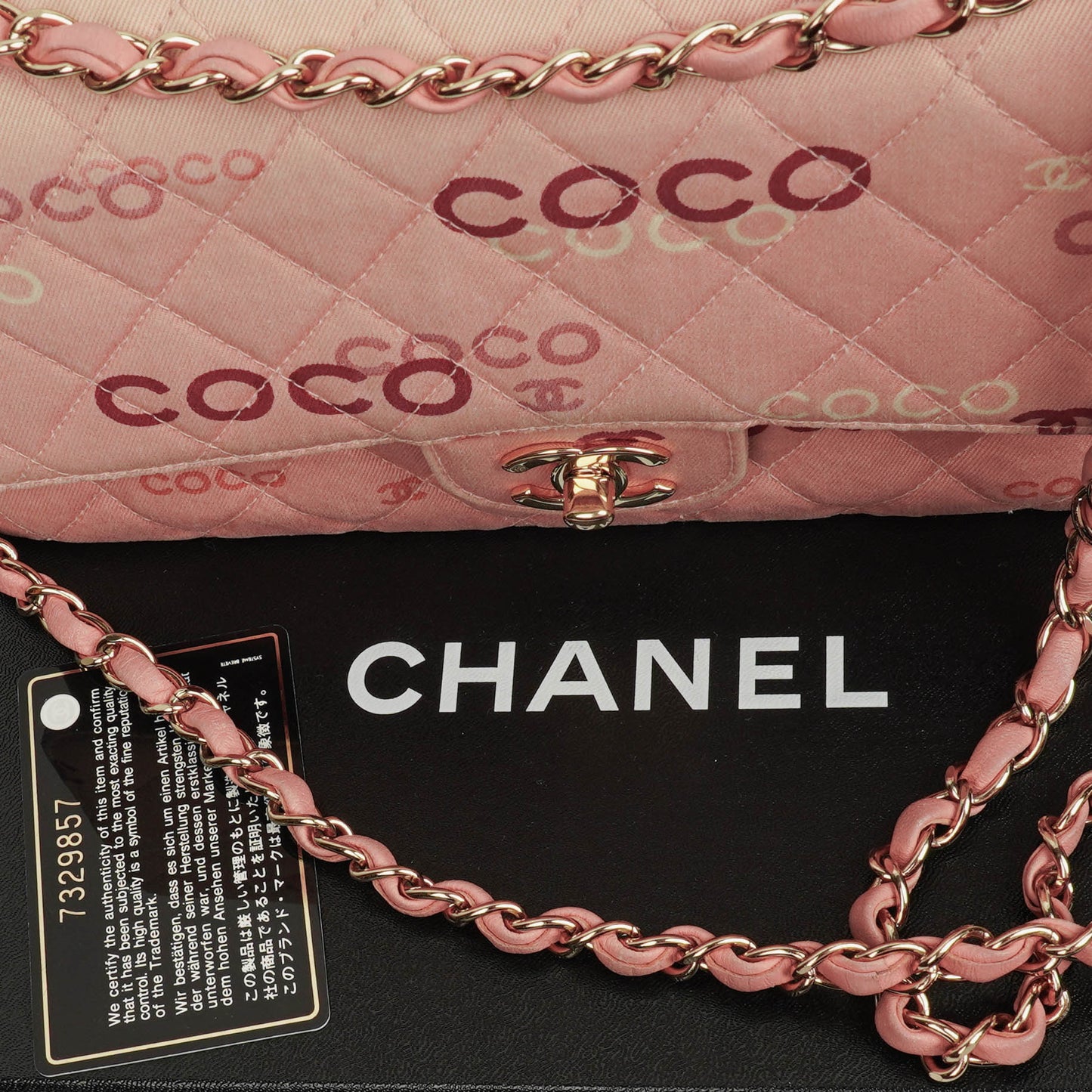 Chanel COCO Print Medium Classic Double Flap Flap Bag 24K Gold-Plated Hardware