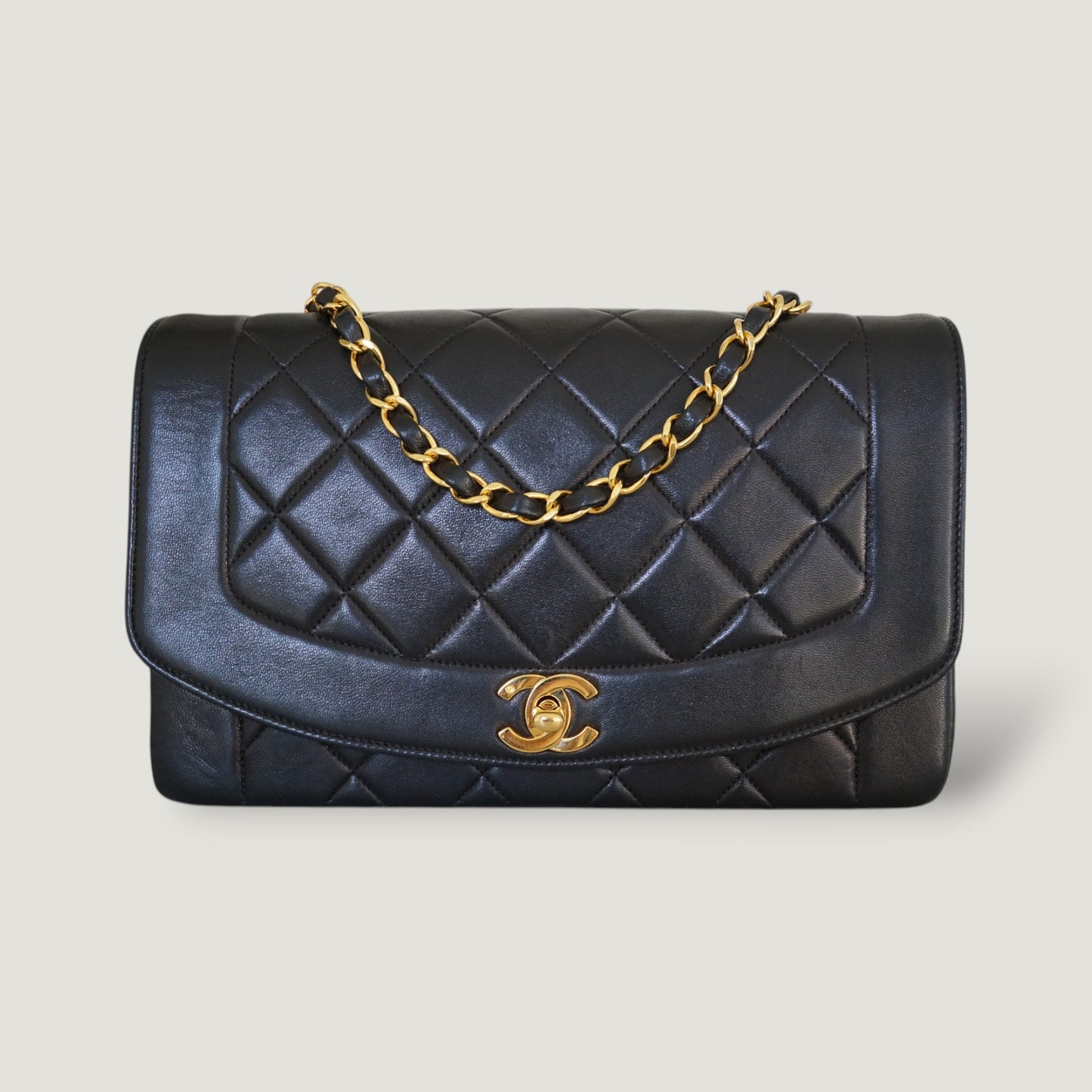 Chanel Diana Handbag Bag - Ewore Bags
