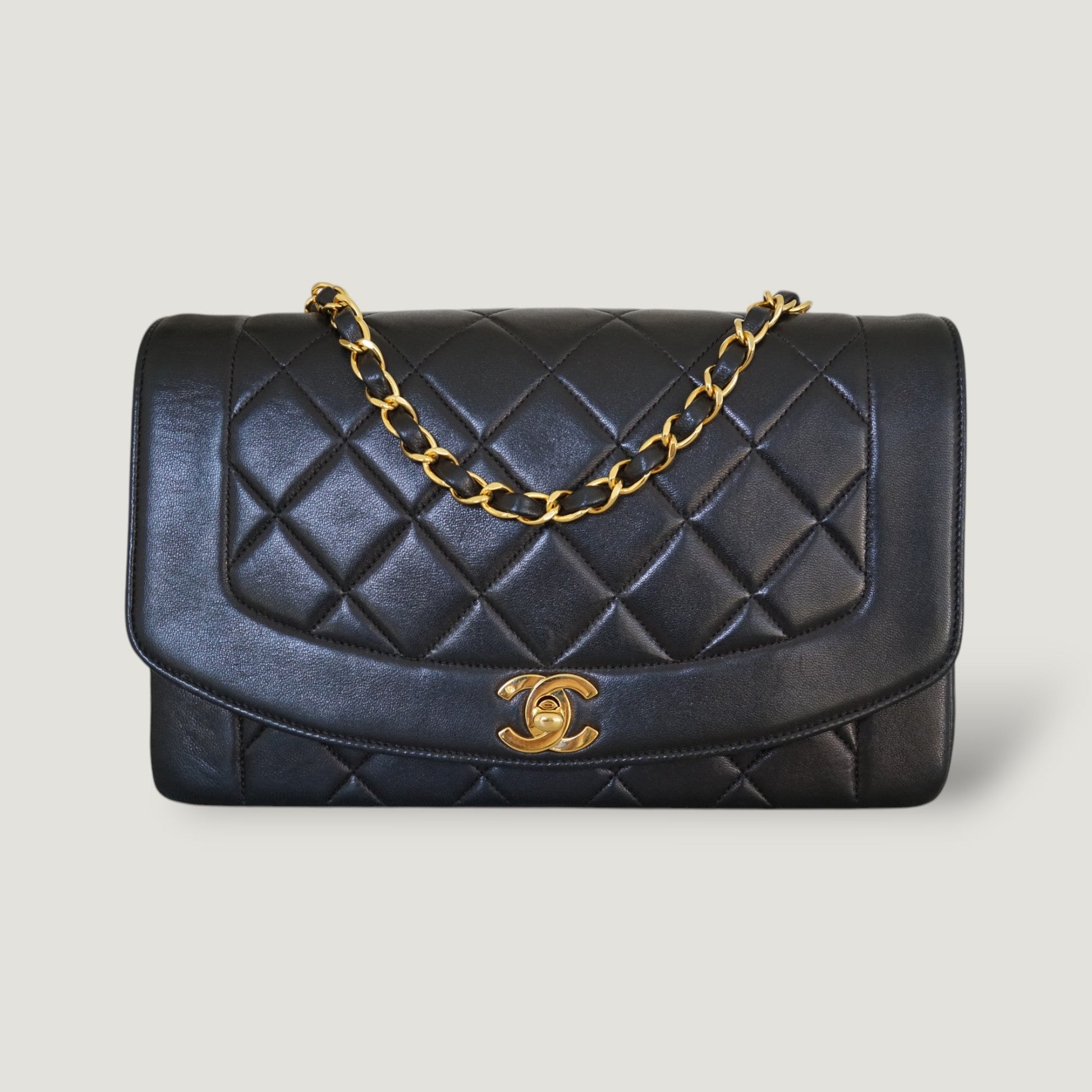 Chanel Diana Handbag Bag - Ewore Bags