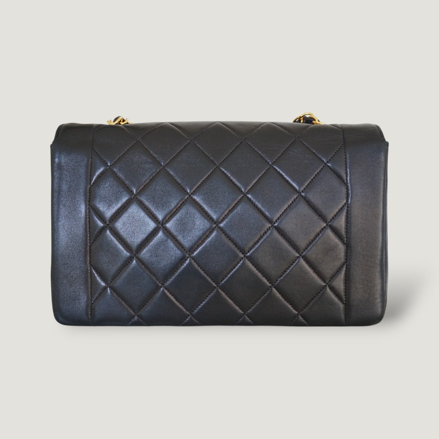 Chanel Diana Handbag Bag - Ewore Bags