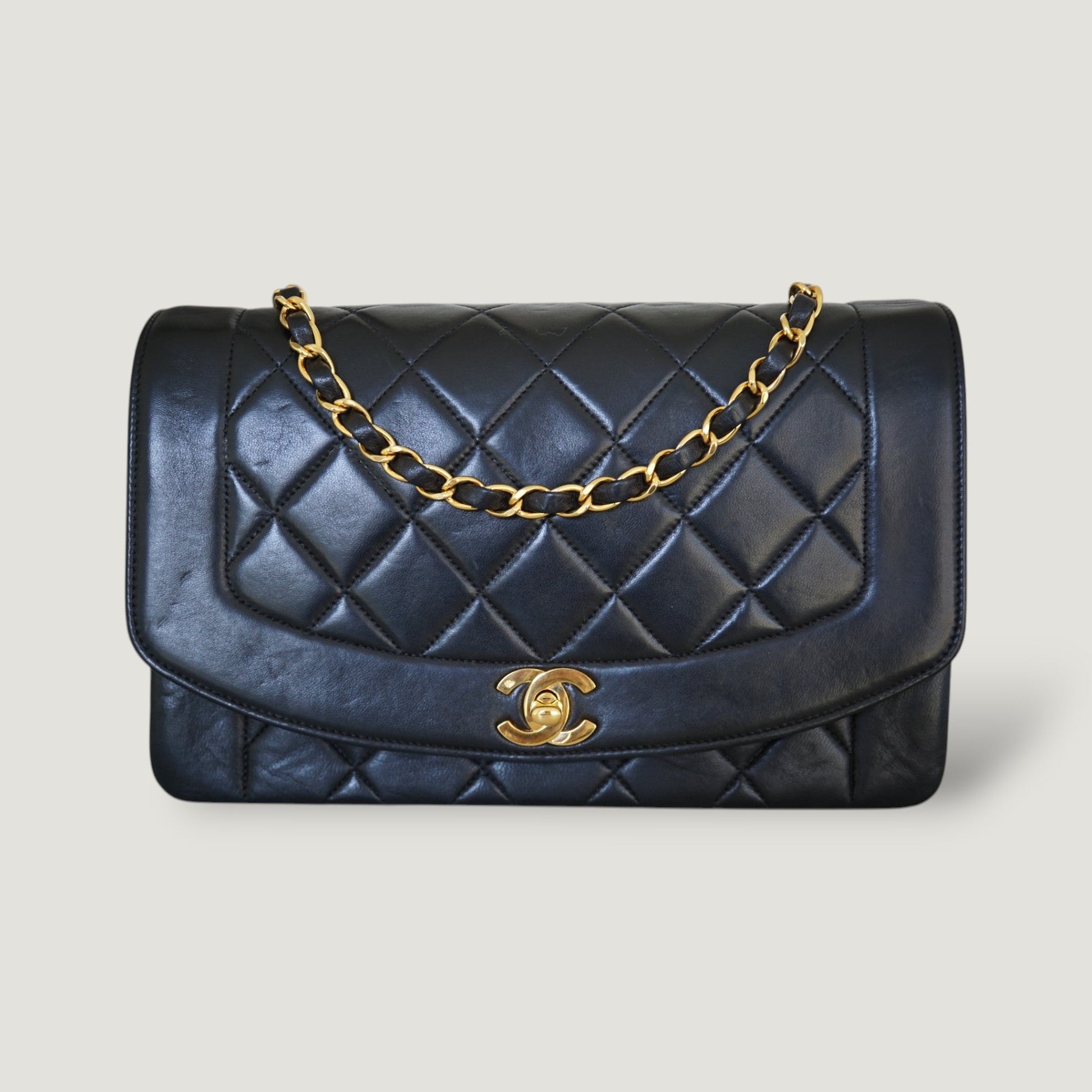Chanel Diana Handbag Bag - Ewore Bags