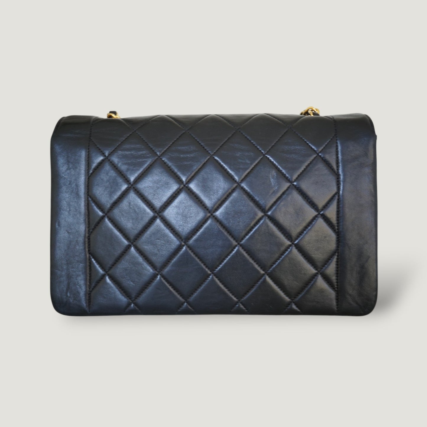 Chanel Diana Handbag Bag - Ewore Bags