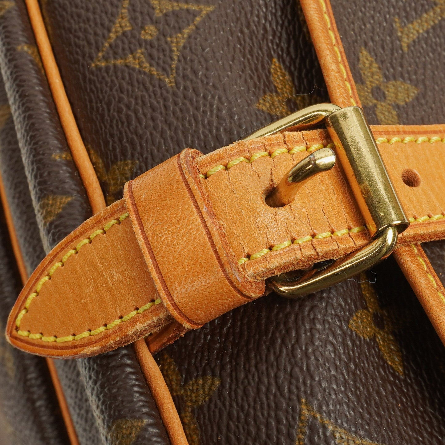 Louis Vuitton Saumur Monogram Canvas 30 Bag