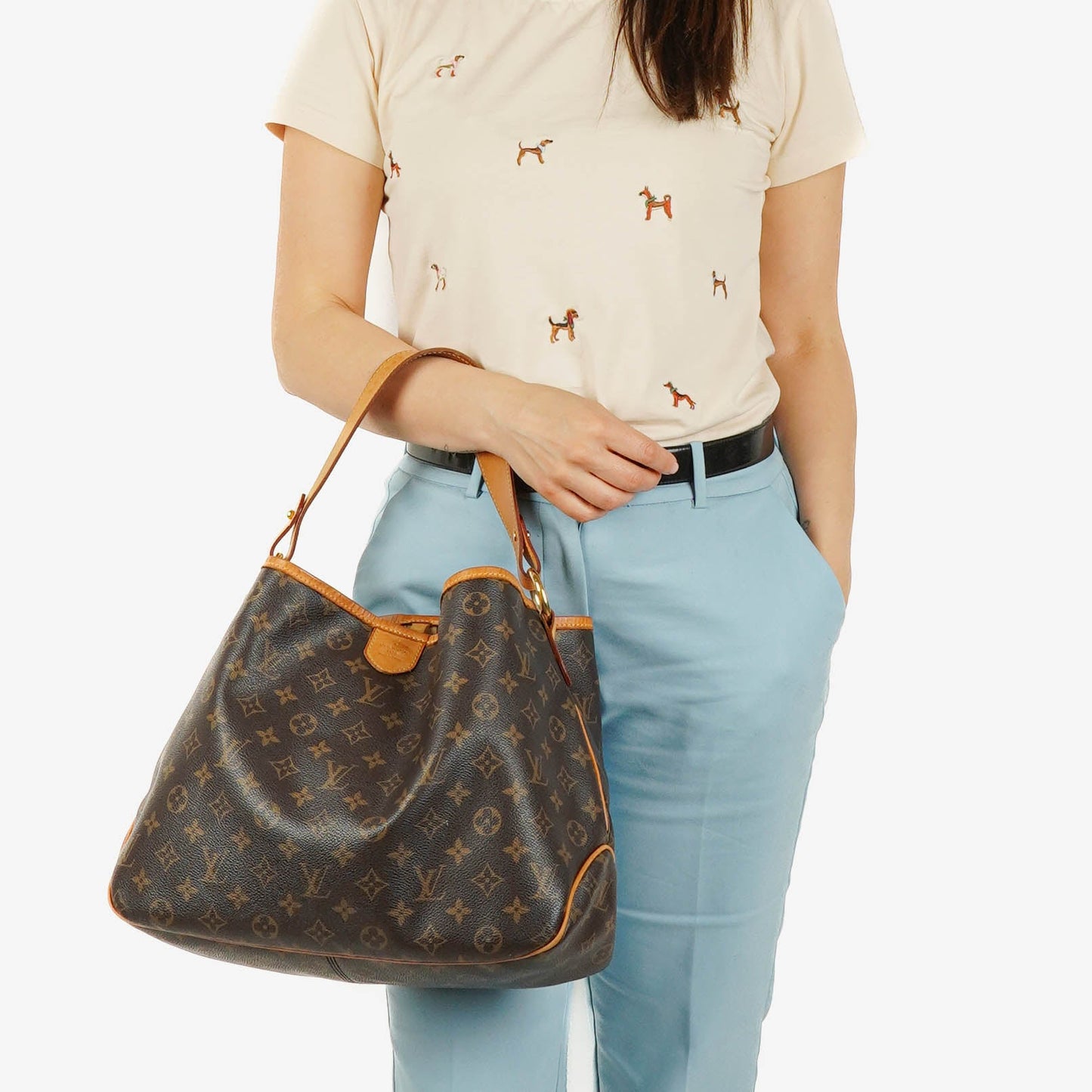 Louis Vuitton Monogram Canvas Delightful PM Bag