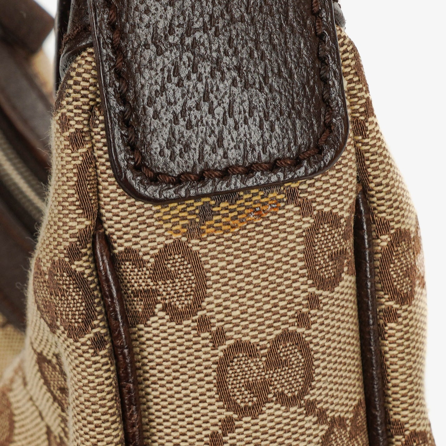Gucci GG Canvas Web Bag