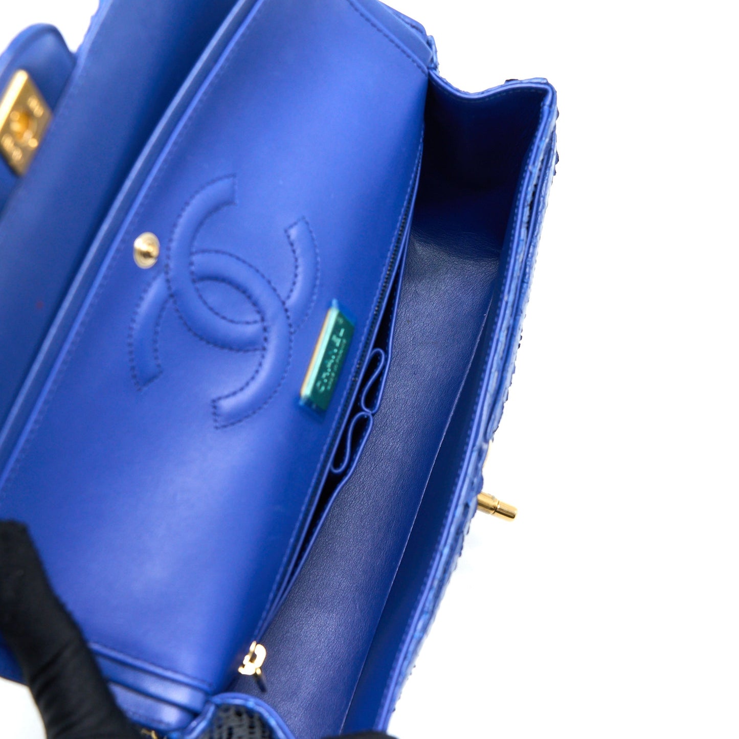 Chanel Medium Classic Double Flap Bag Python Blue