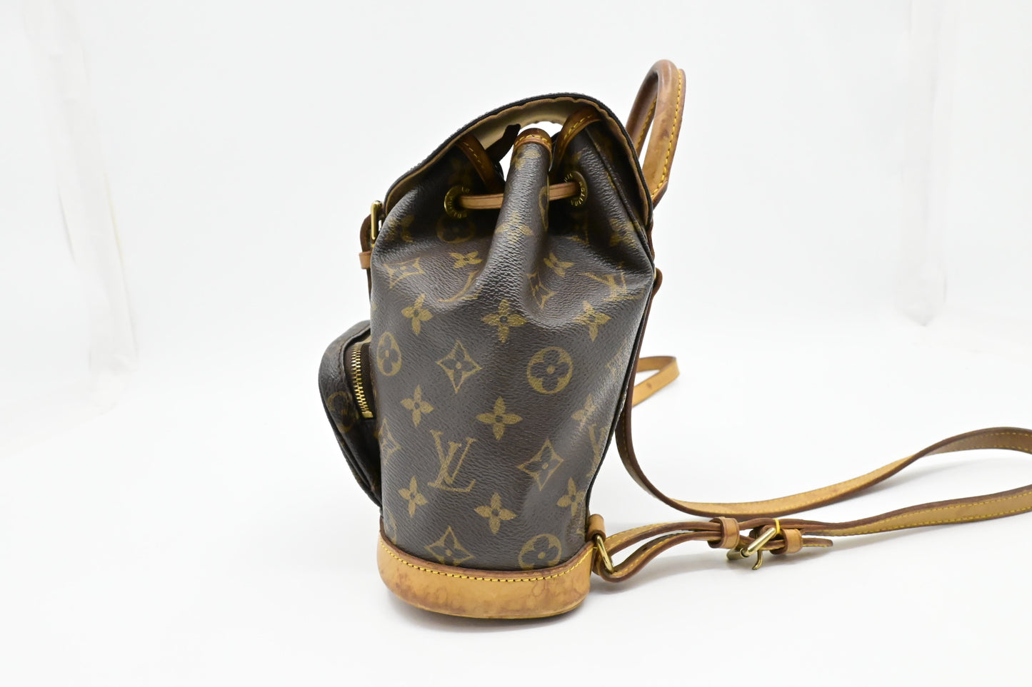 Louis Vuitton Montsouris PM in Monogram Canvas